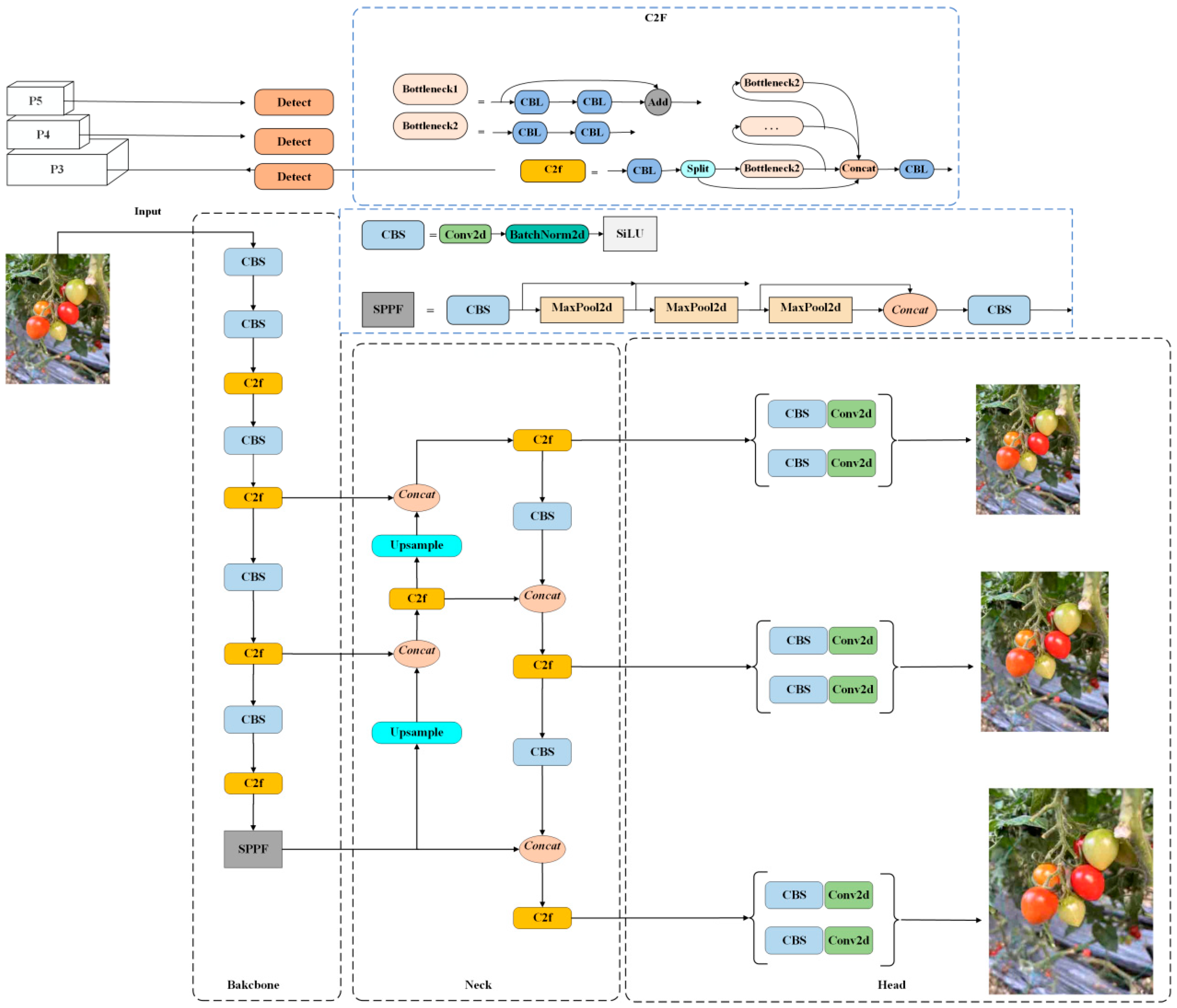 Agronomy 15 01088 g004