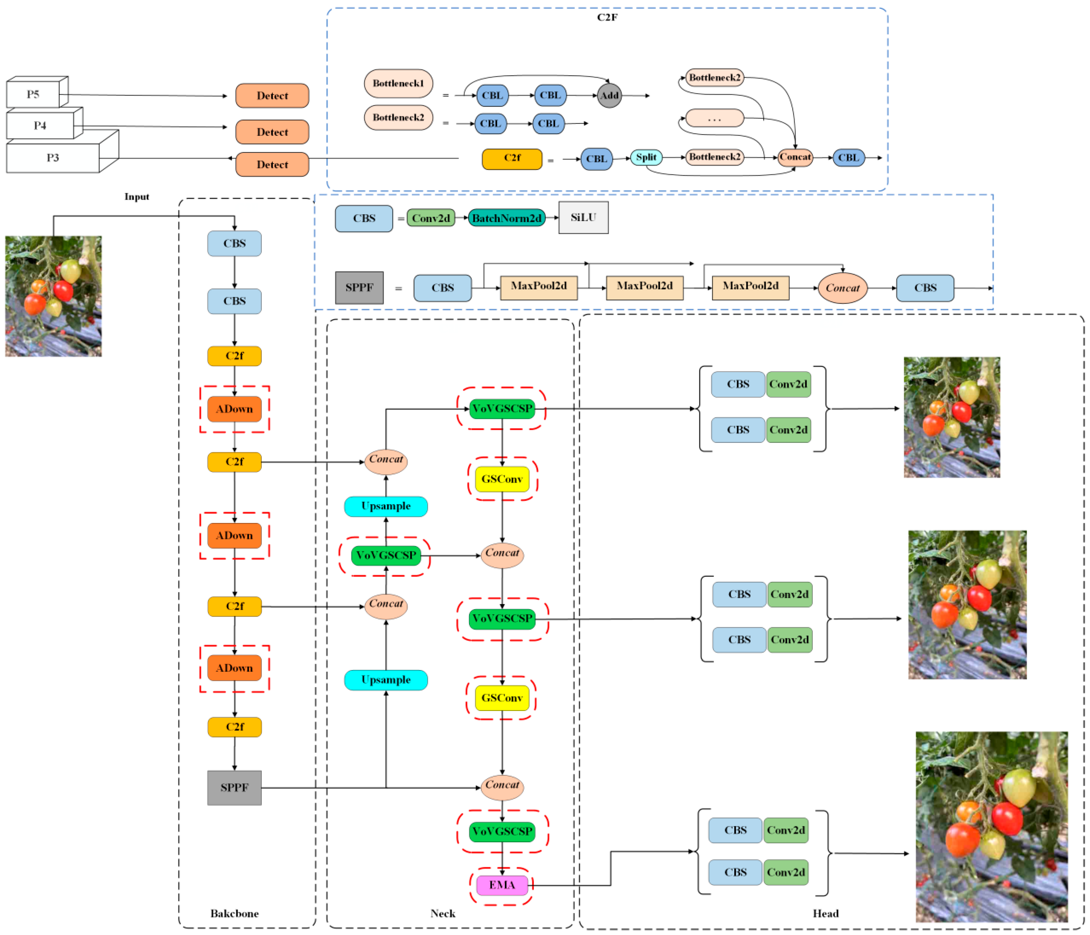 Agronomy 15 01088 g005