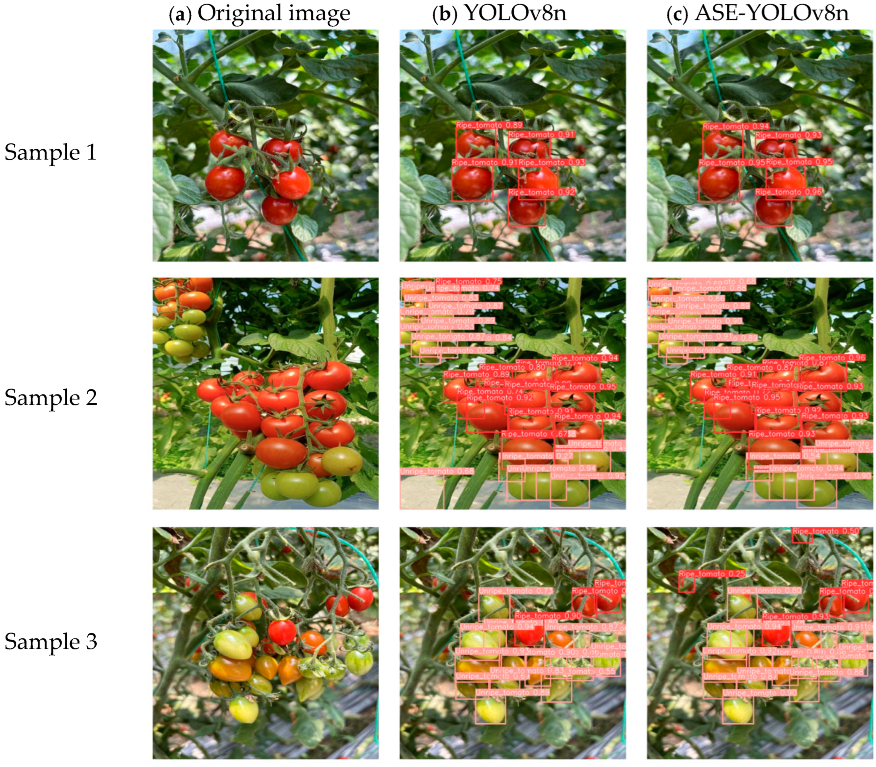 Agronomy 15 01088 g011a