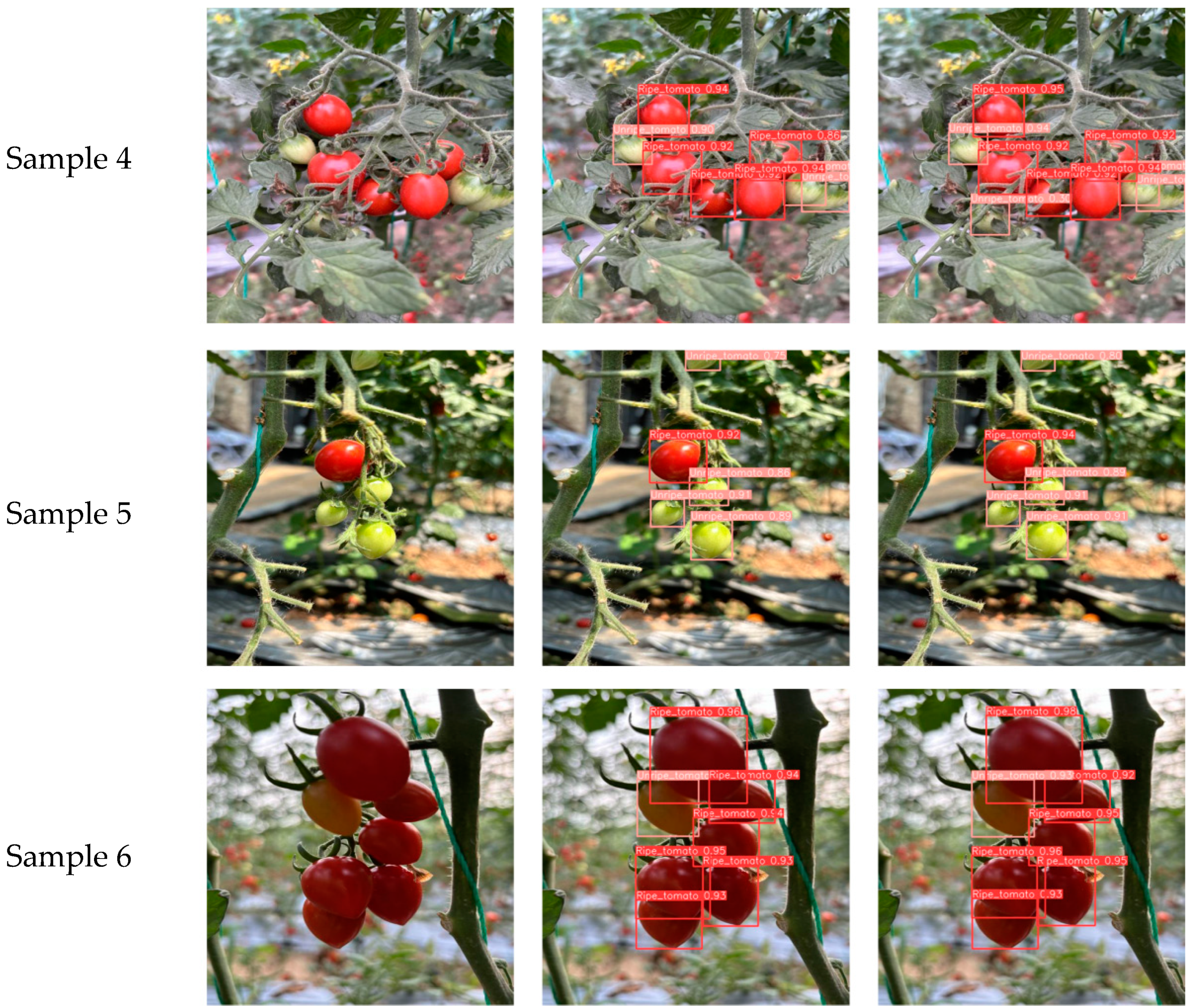 Agronomy 15 01088 g011b