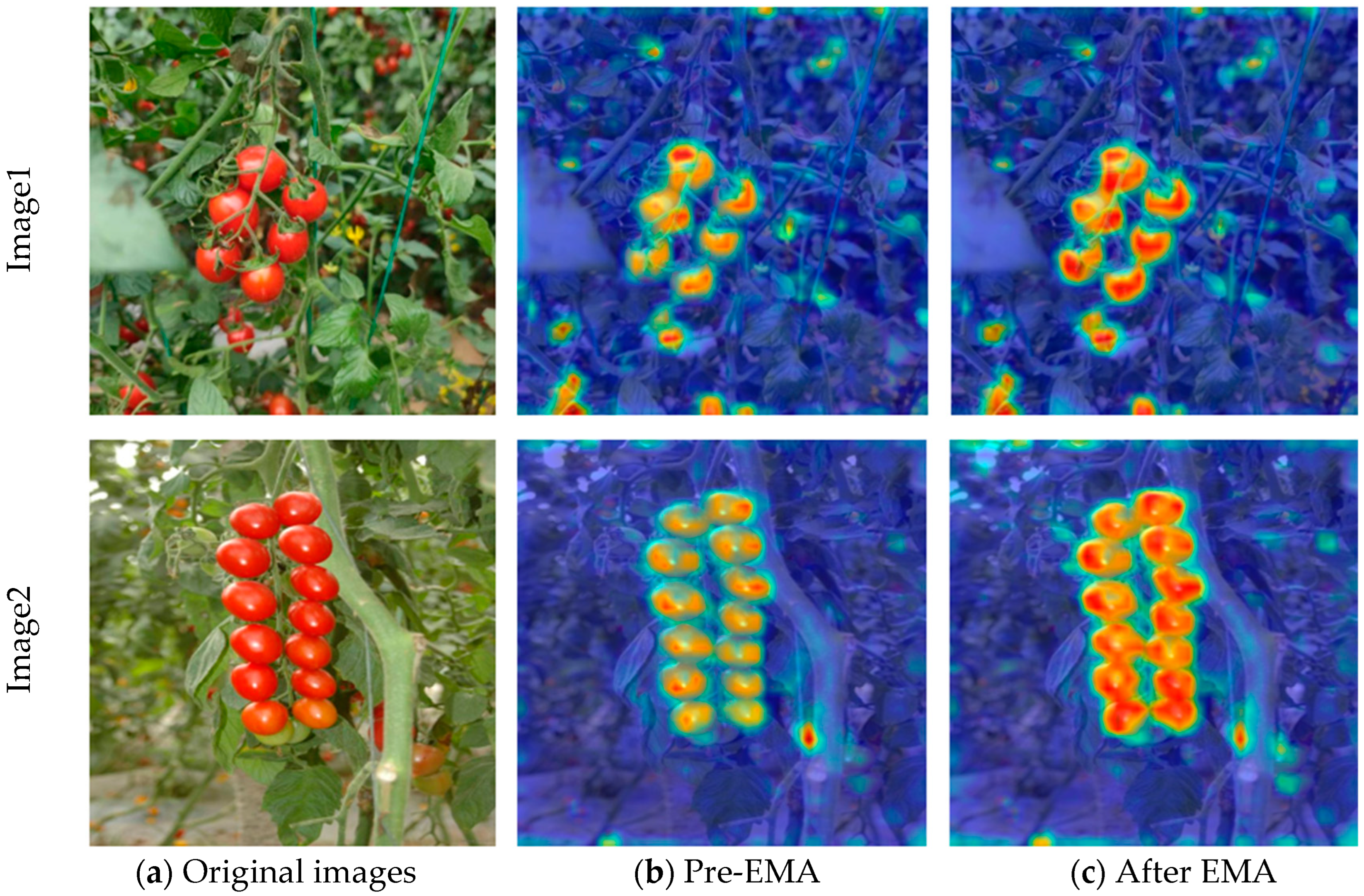 Agronomy 15 01088 g012