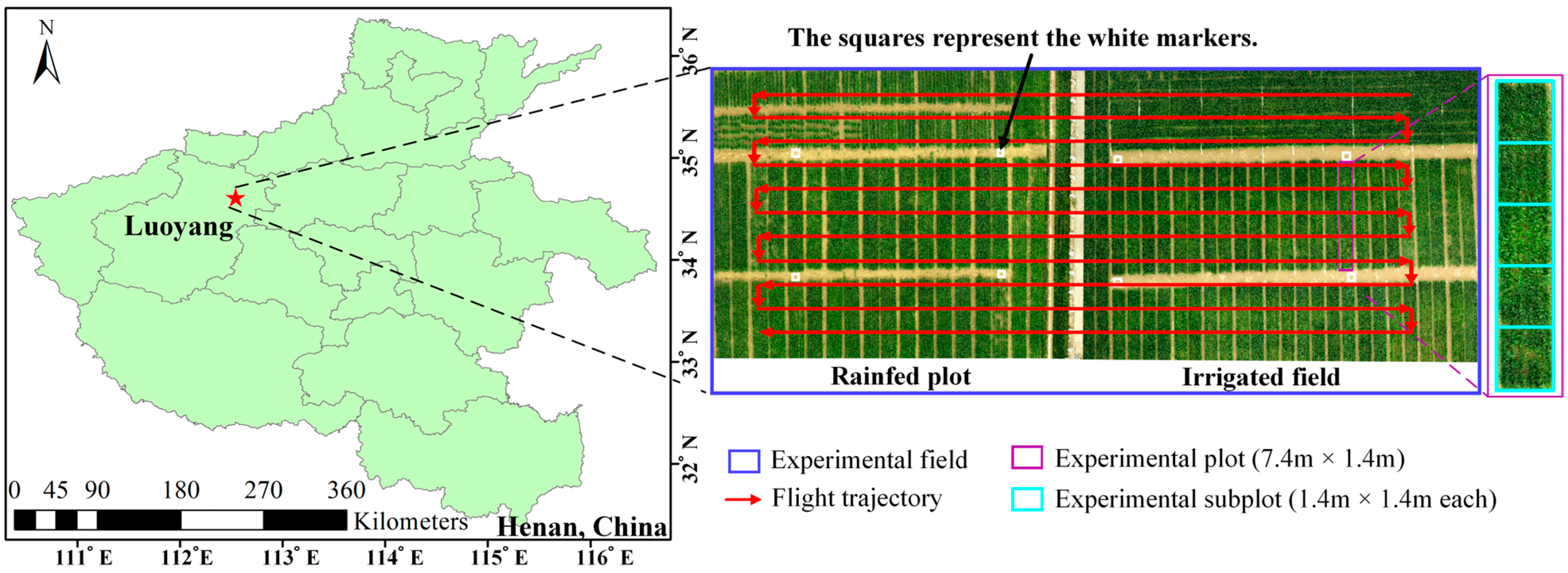 Agronomy 15 01094 g001