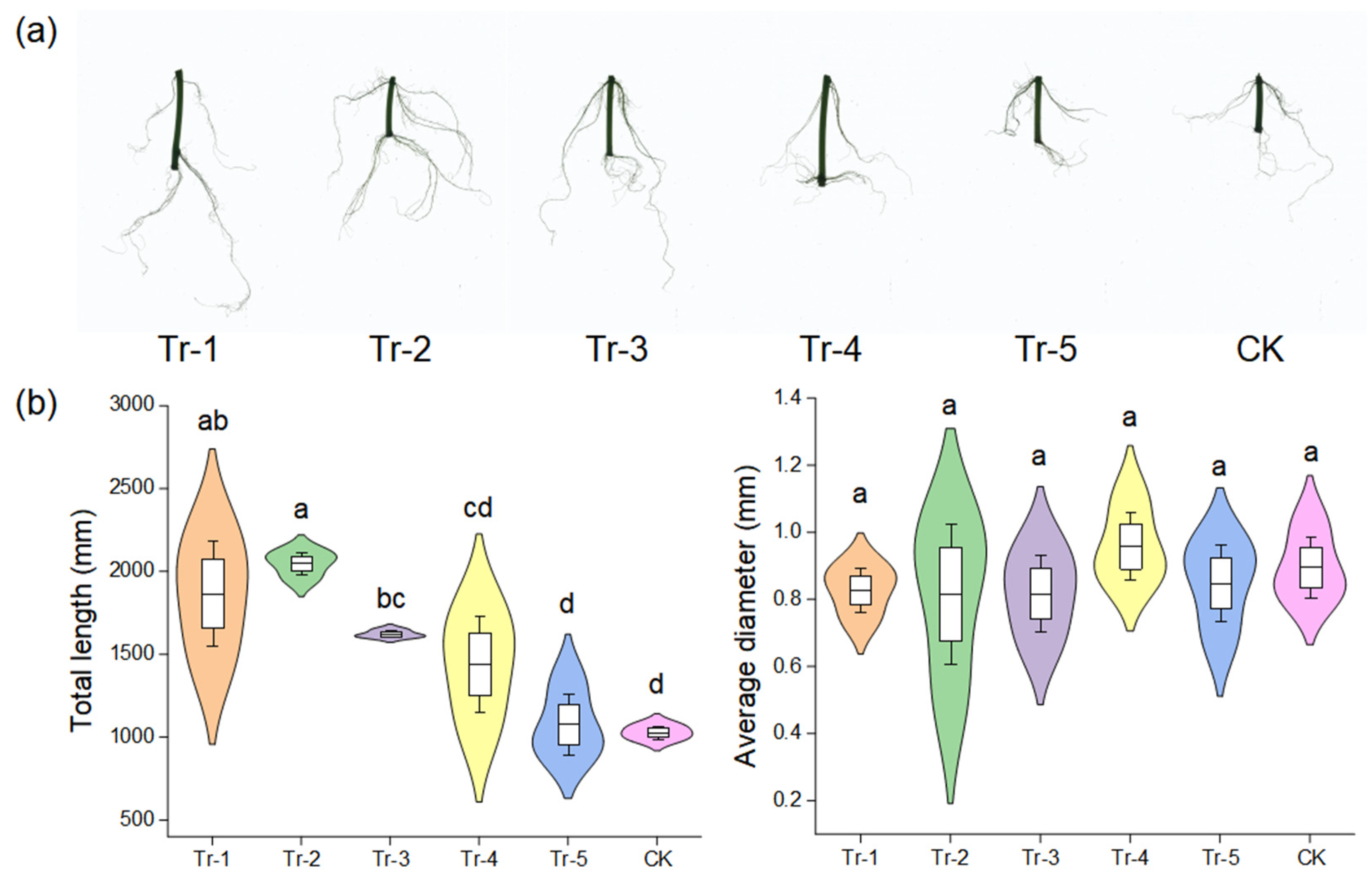 Agronomy 15 01098 g003