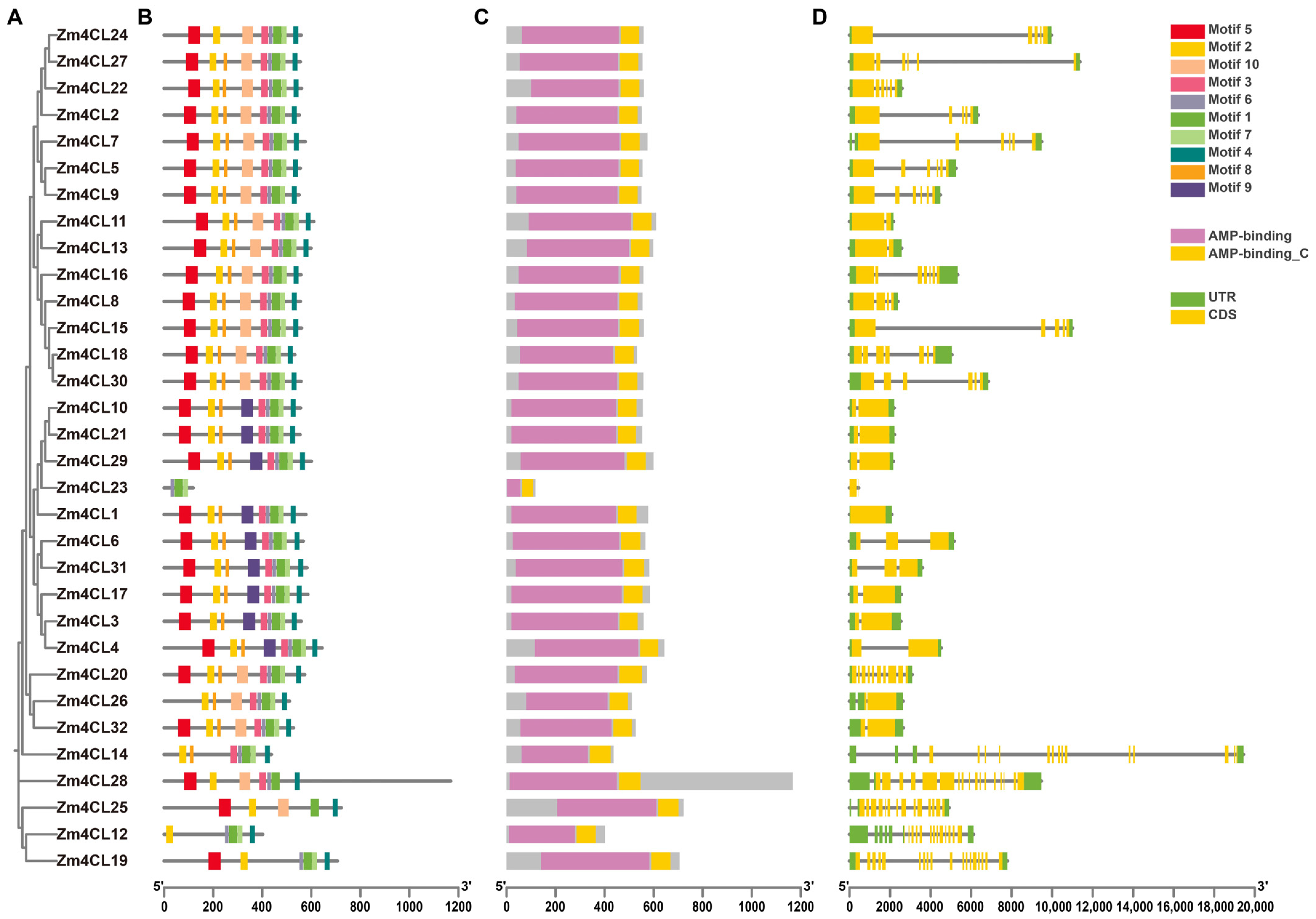 Agronomy 15 01100 g003