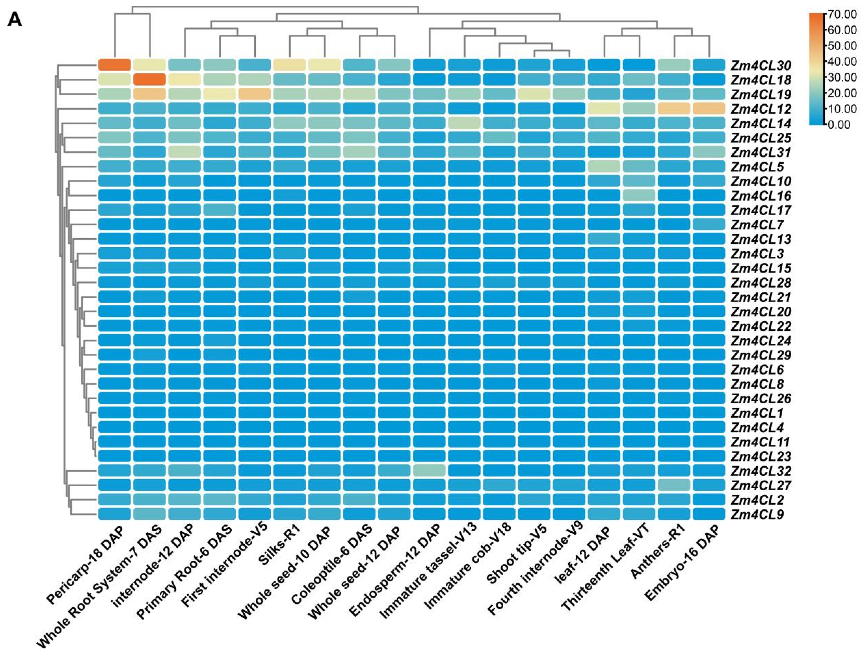 Agronomy 15 01100 g005a
