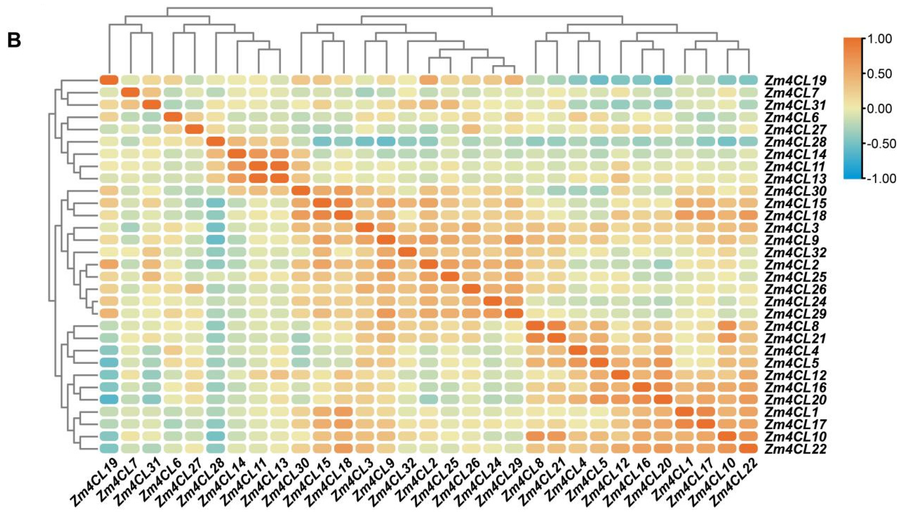 Agronomy 15 01100 g005b