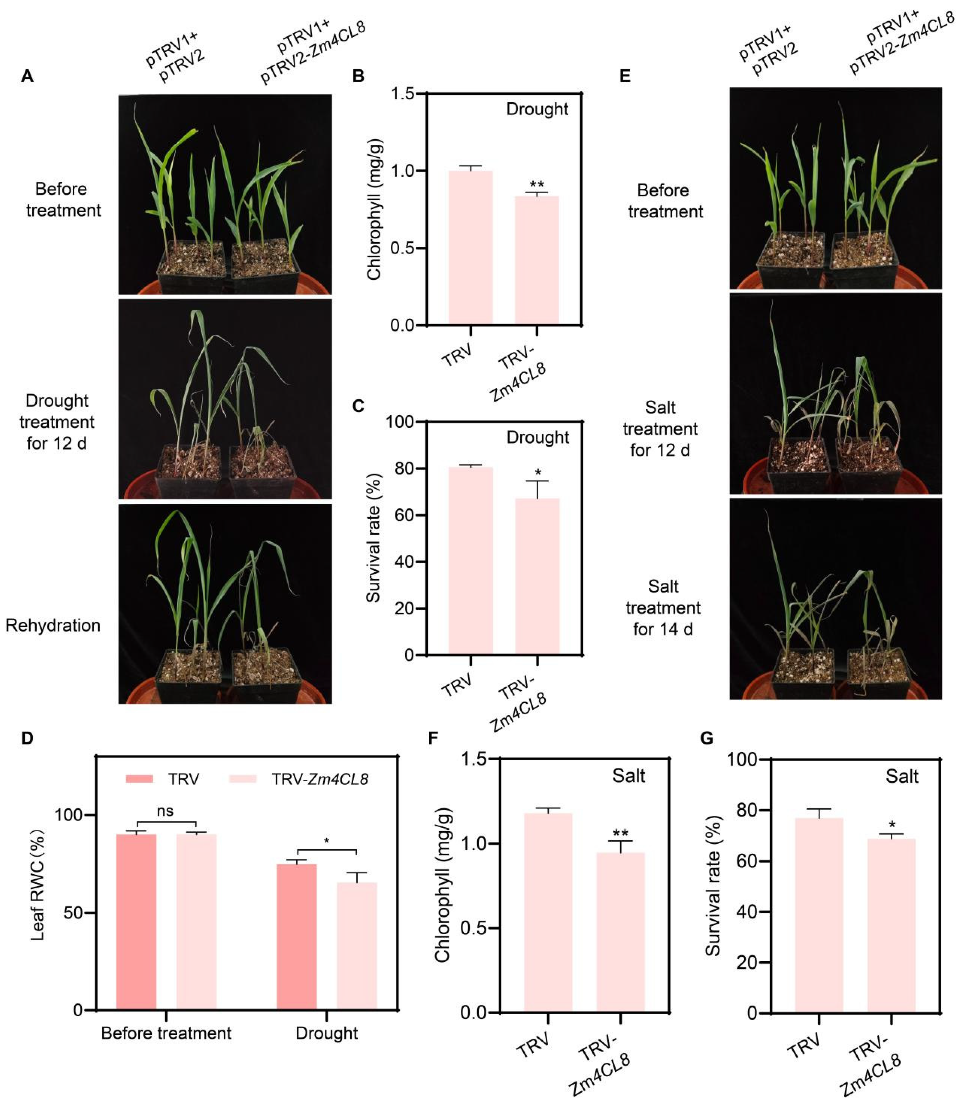 Agronomy 15 01100 g009
