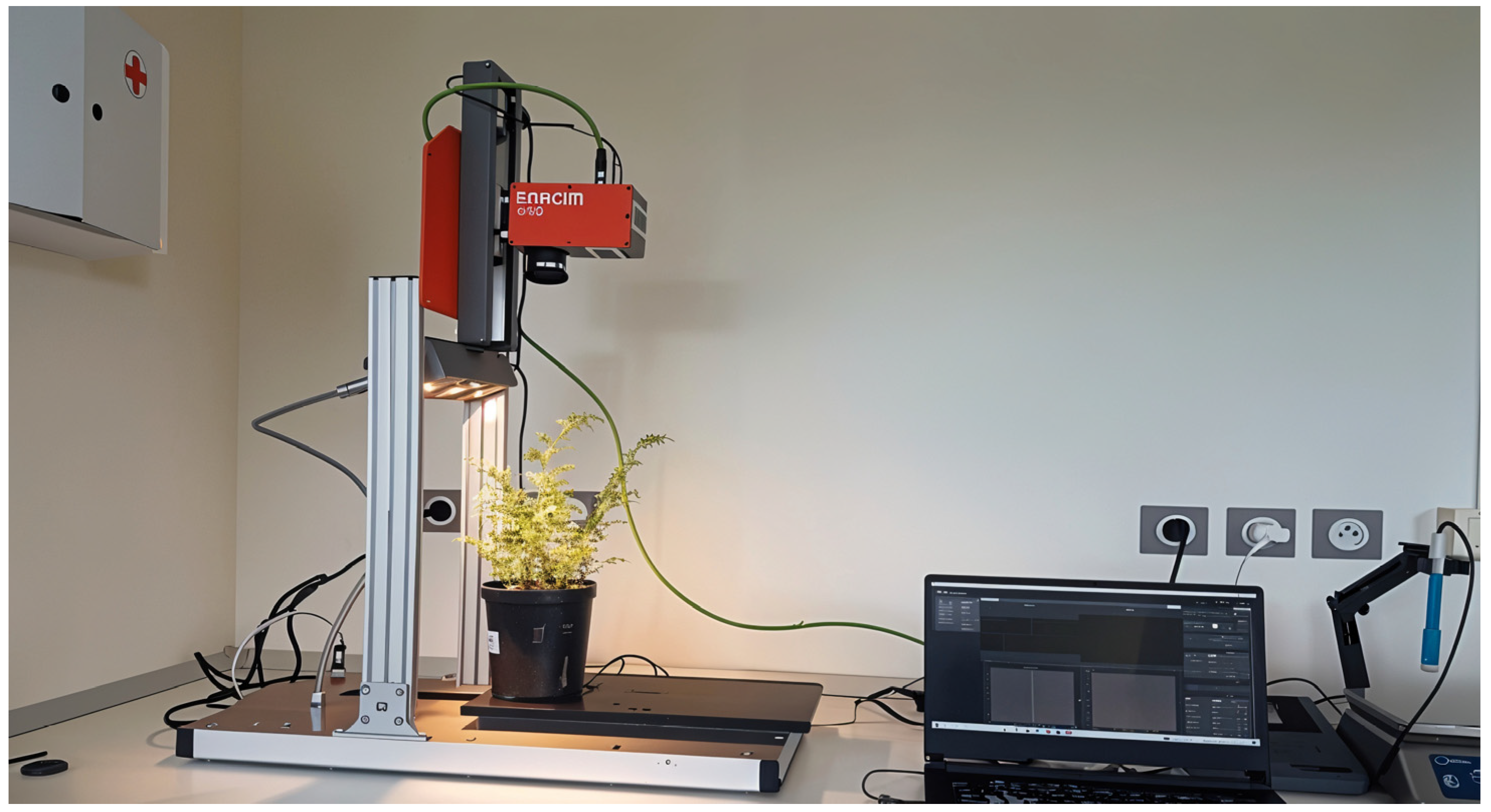 Agronomy 15 01106 g003