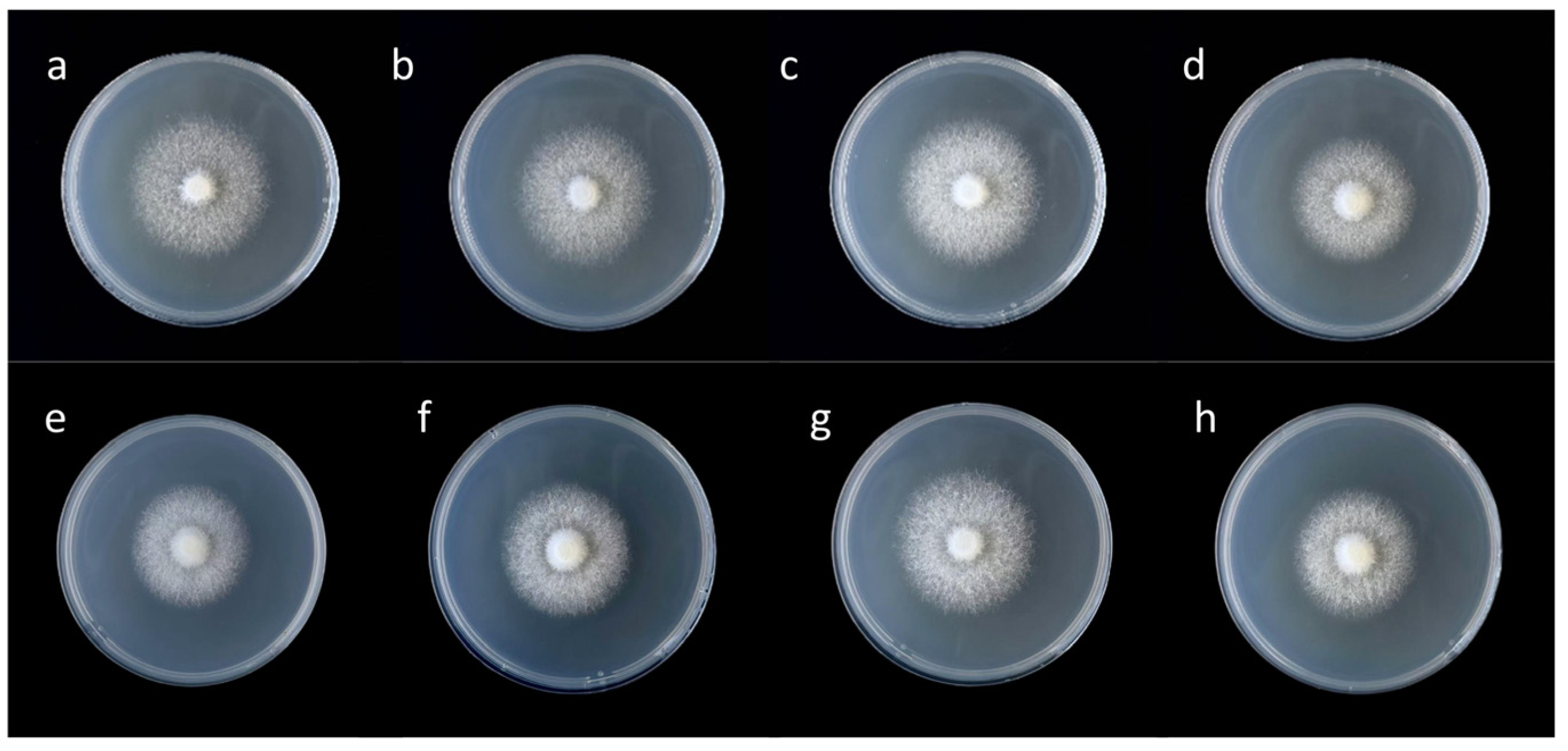 Agronomy 15 01107 g001