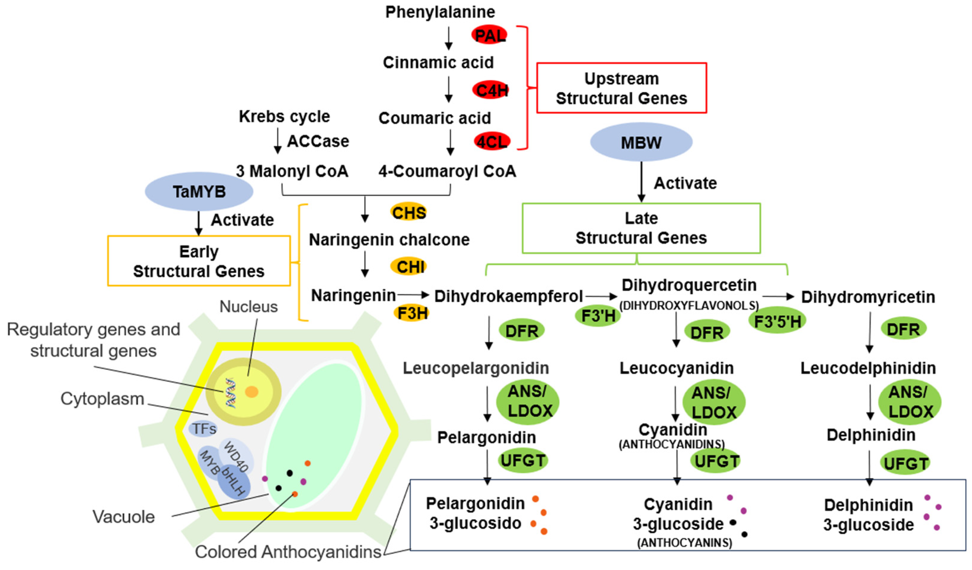 Agronomy 15 01108 g001