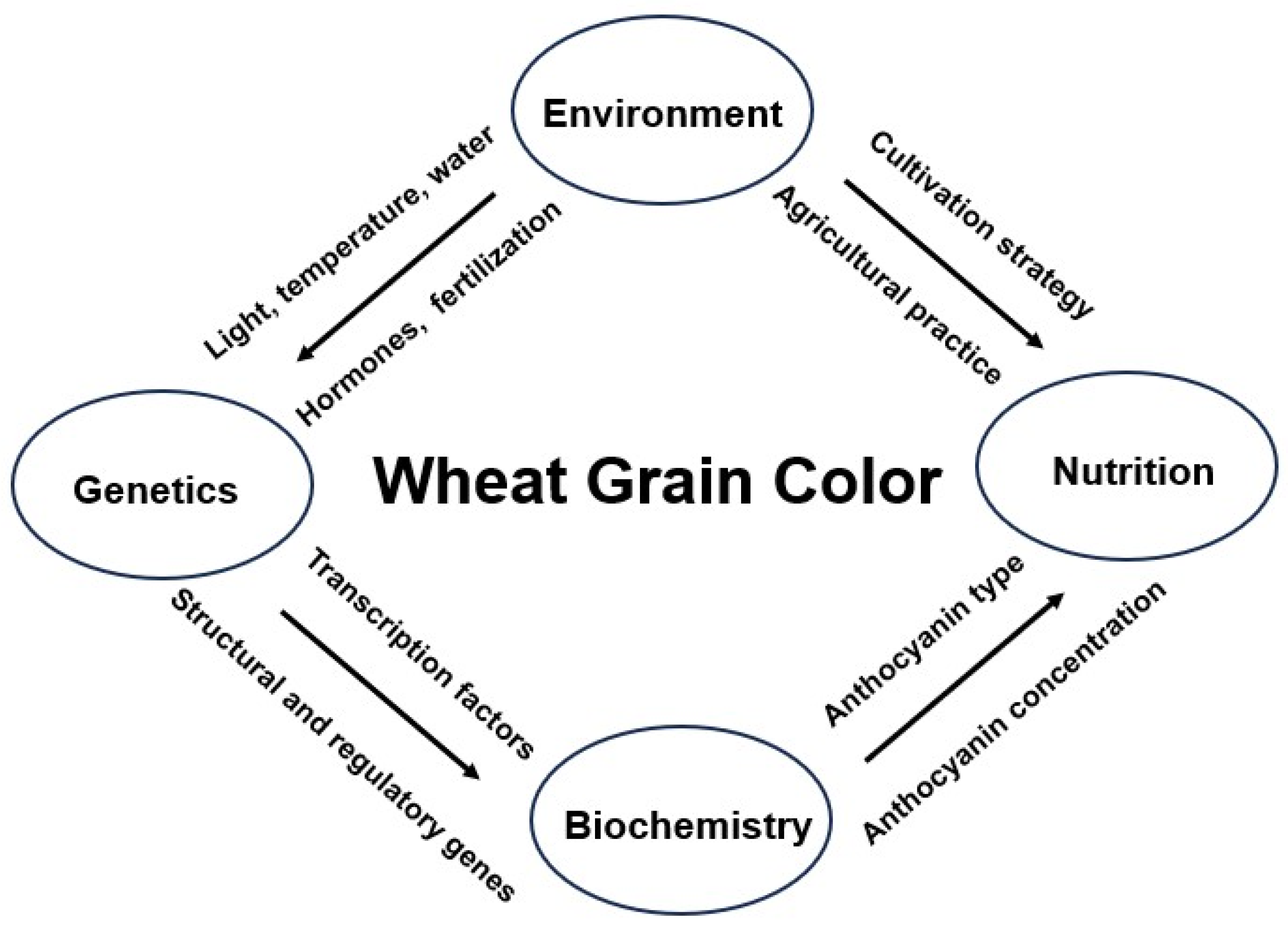 Agronomy 15 01108 g002