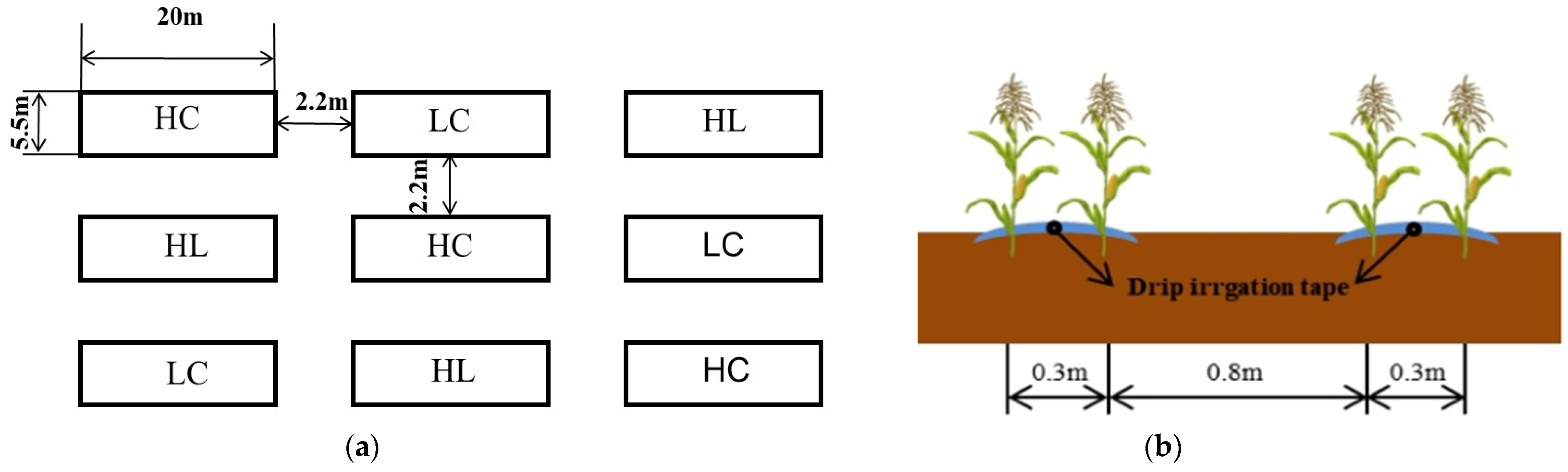 Agronomy 15 01110 g002