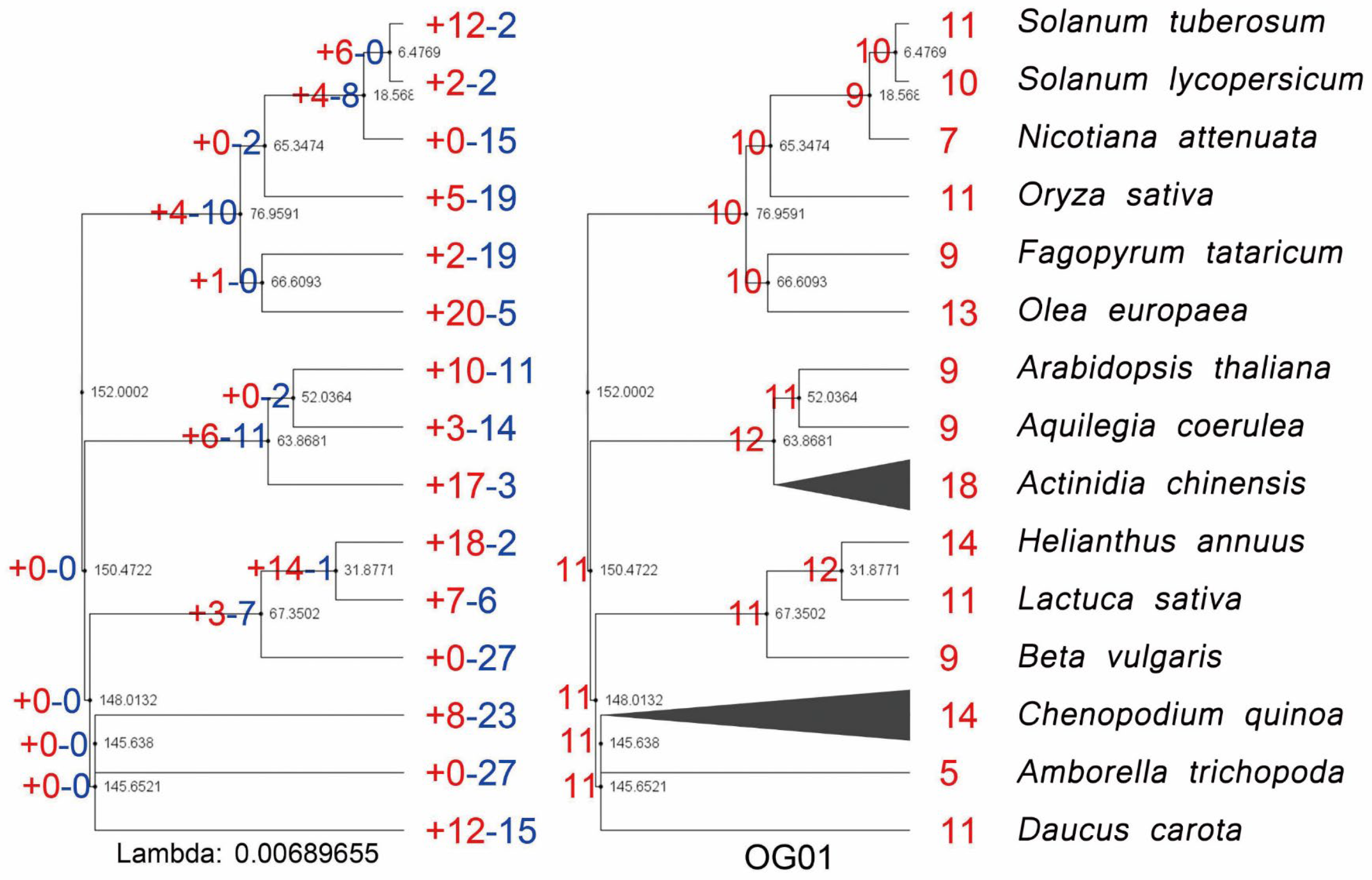 Agronomy 15 01112 g002