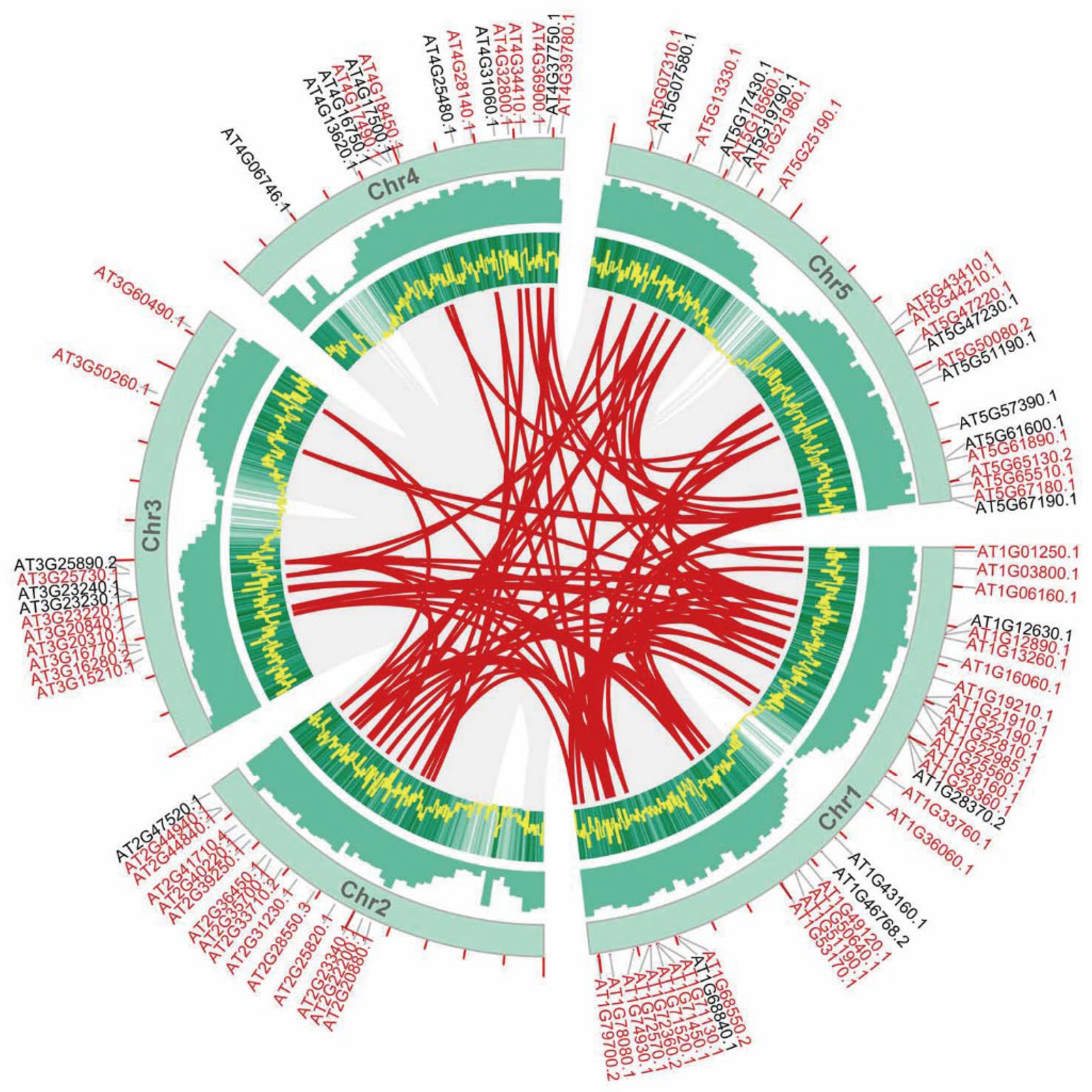 Agronomy 15 01112 g004