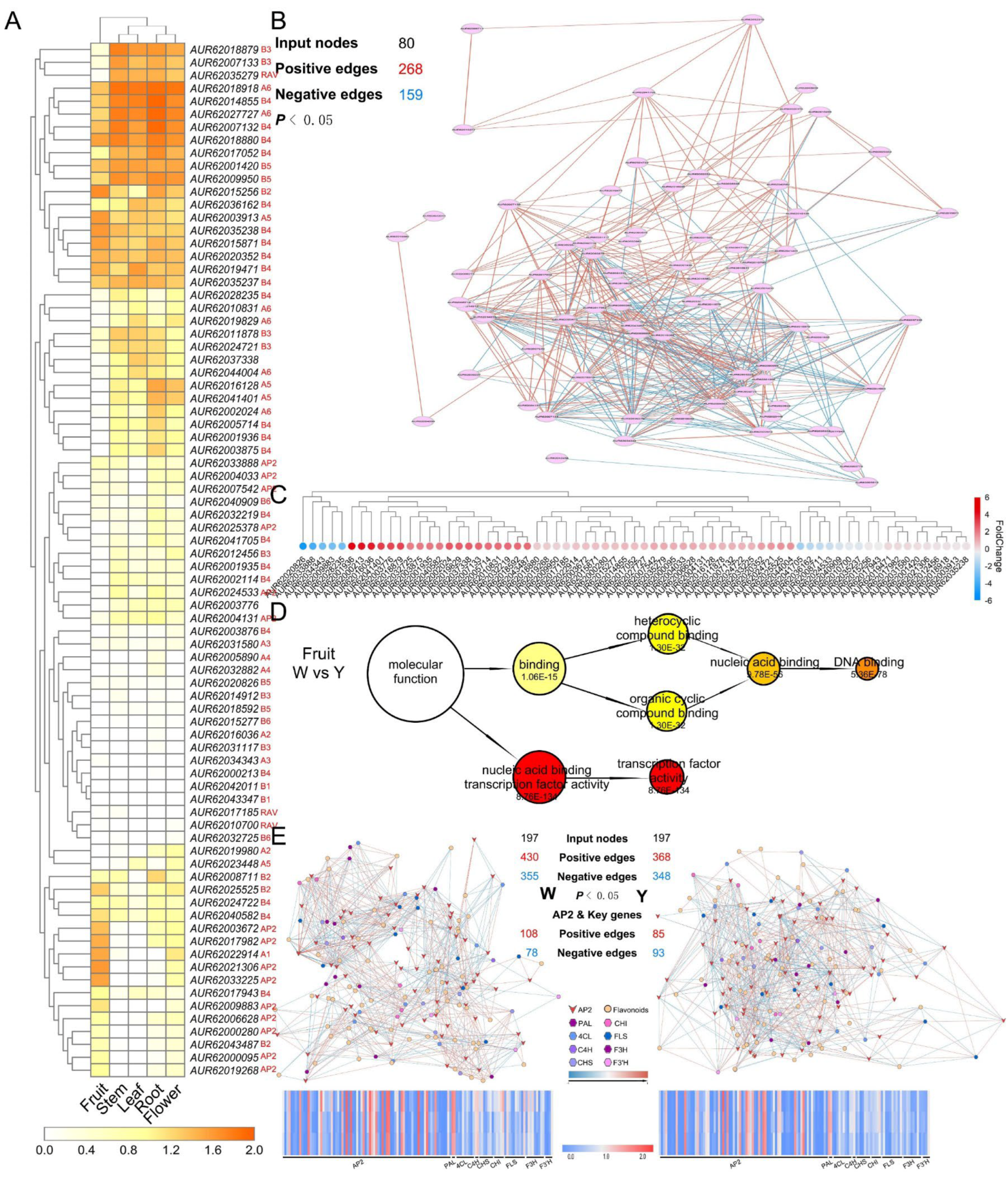 Agronomy 15 01112 g011