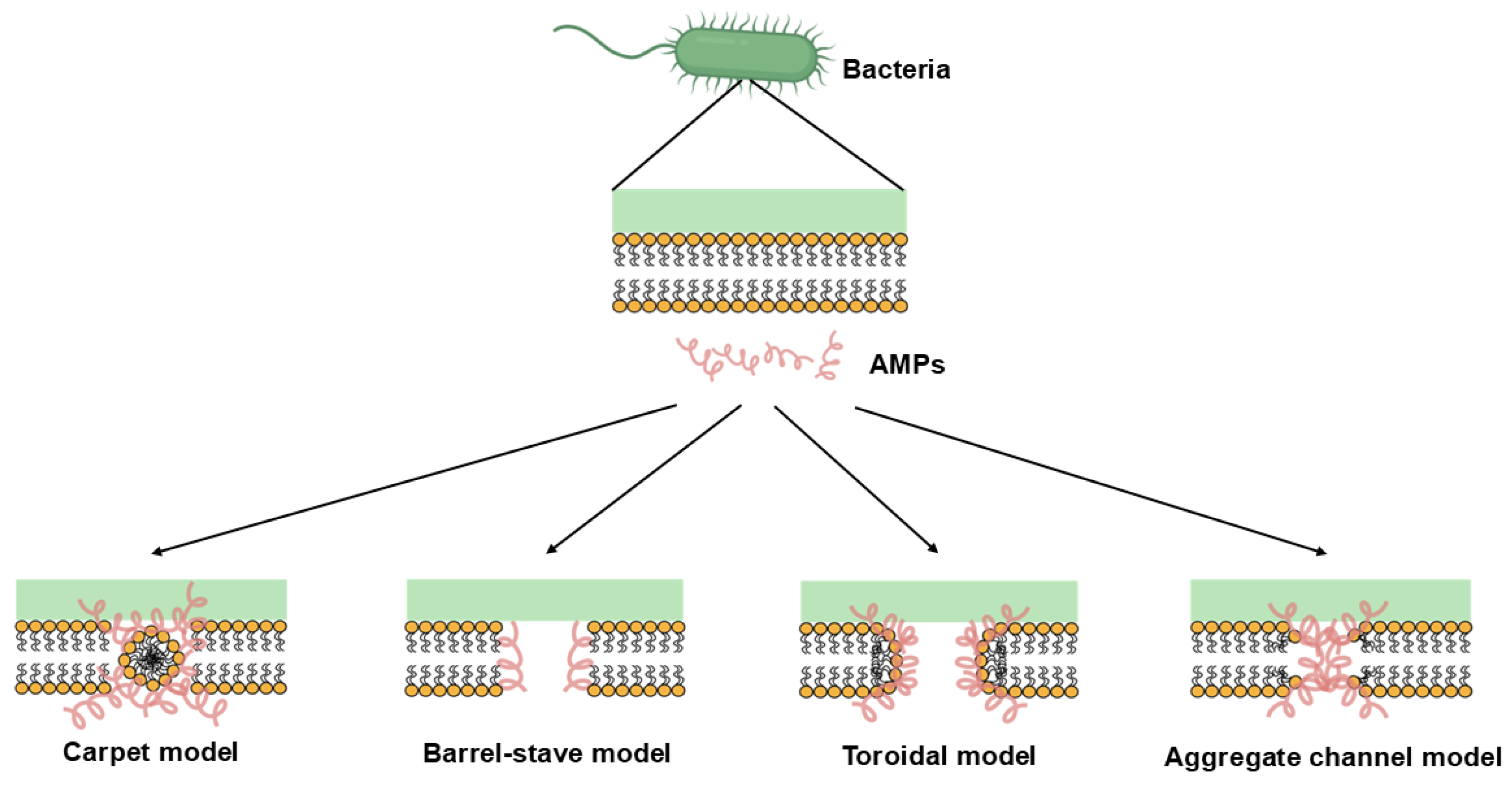Agronomy 15 01113 g004