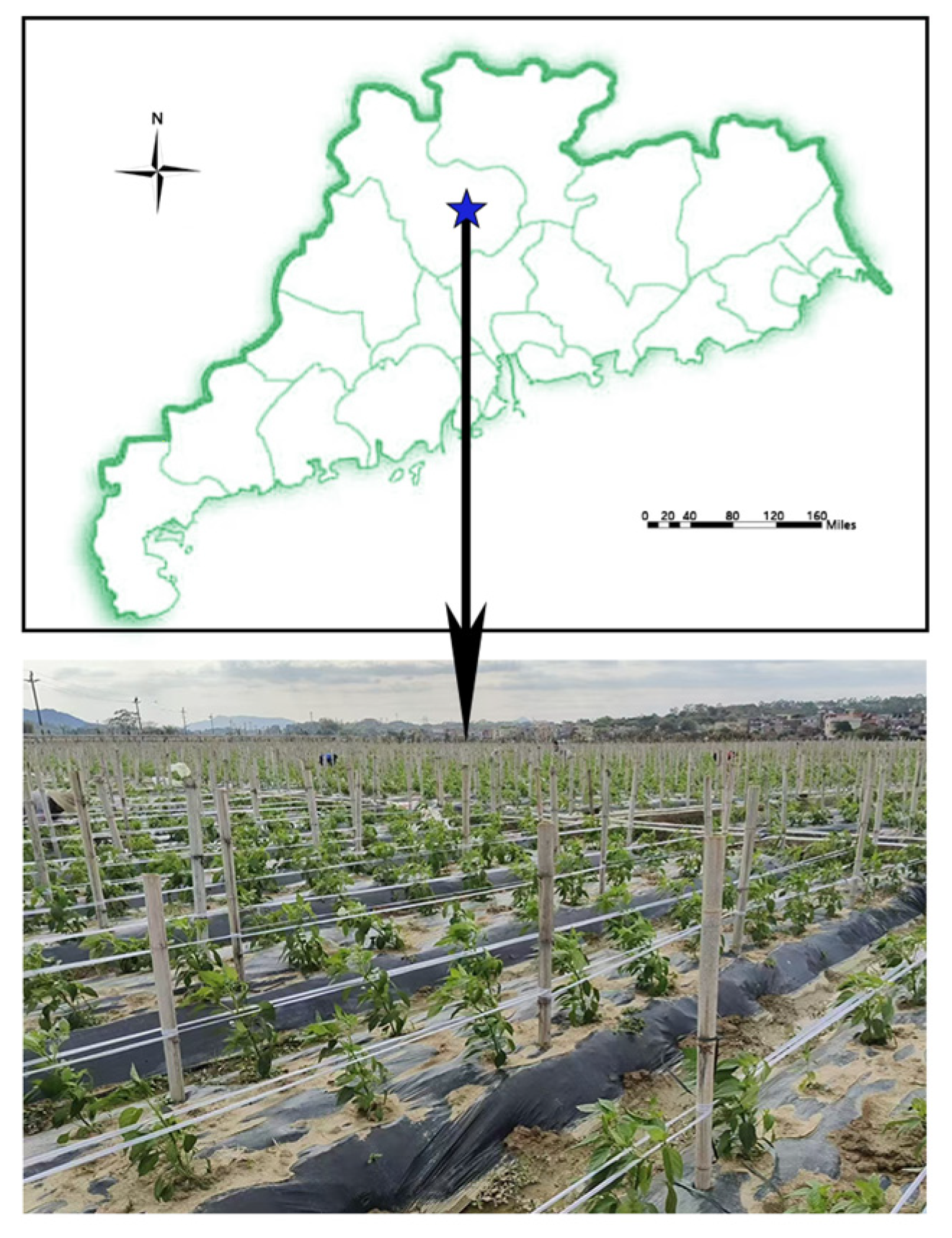 Agronomy 15 01118 g001