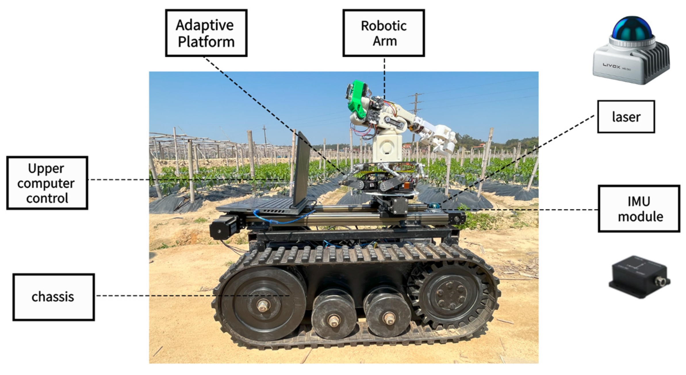 Agronomy 15 01118 g010