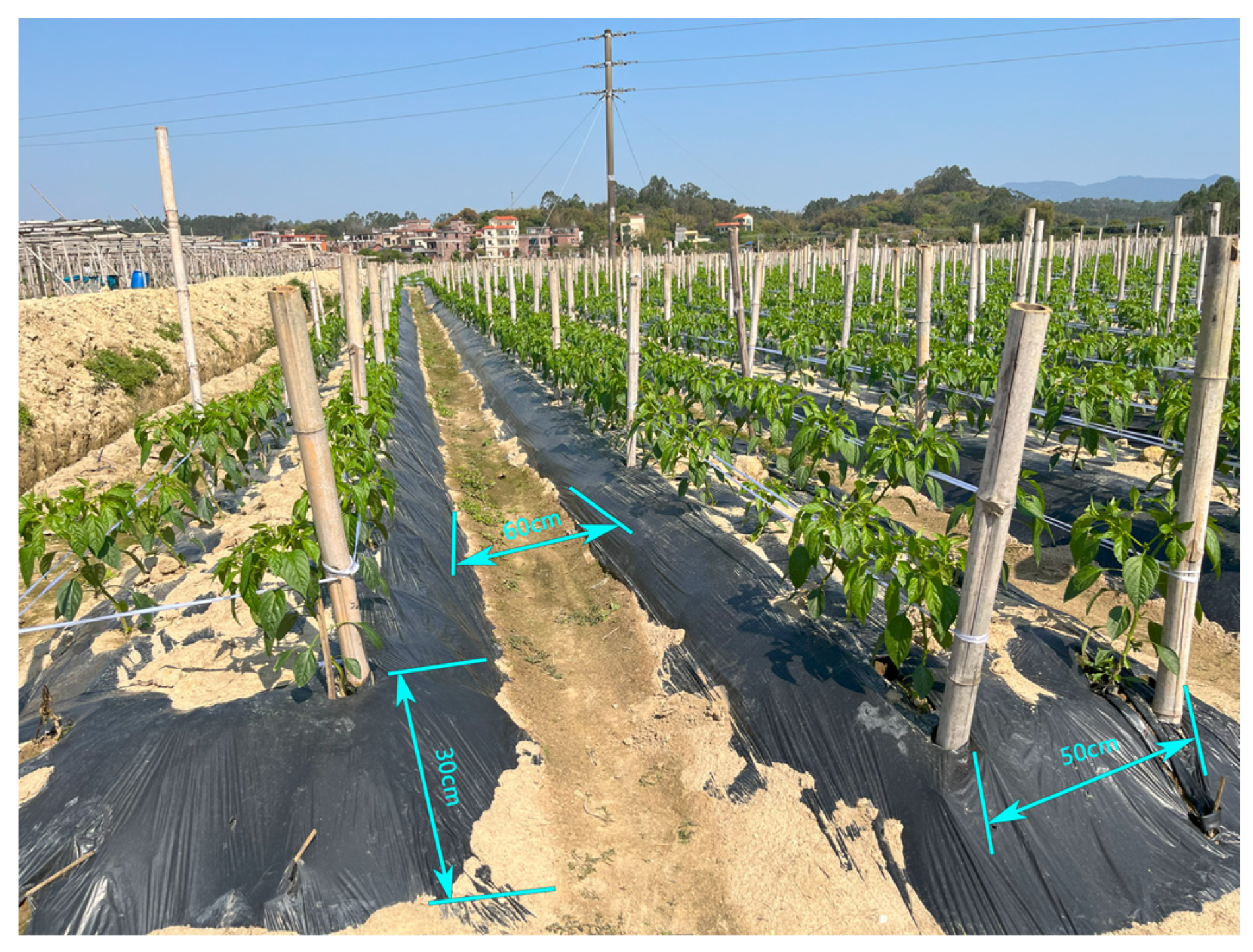 Agronomy 15 01118 g011