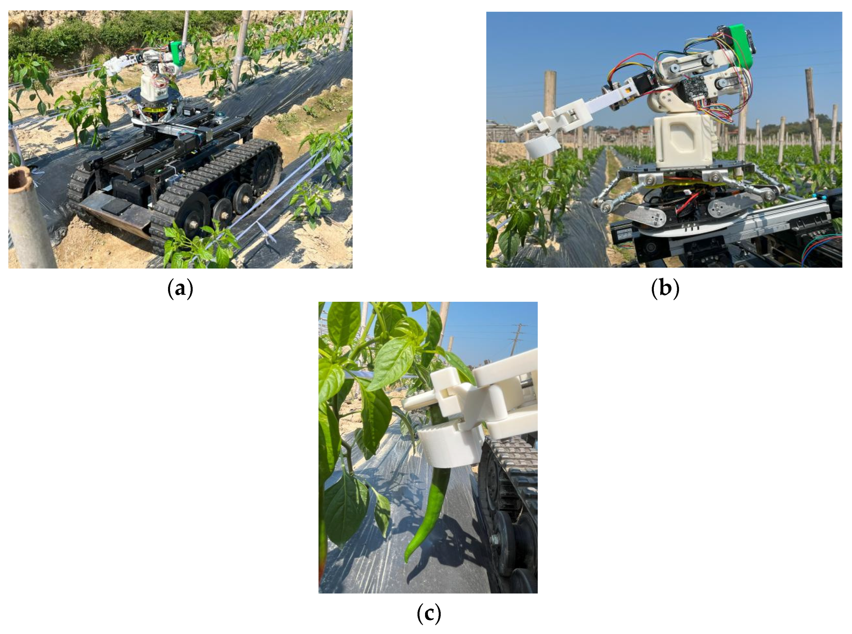 Agronomy 15 01118 g012