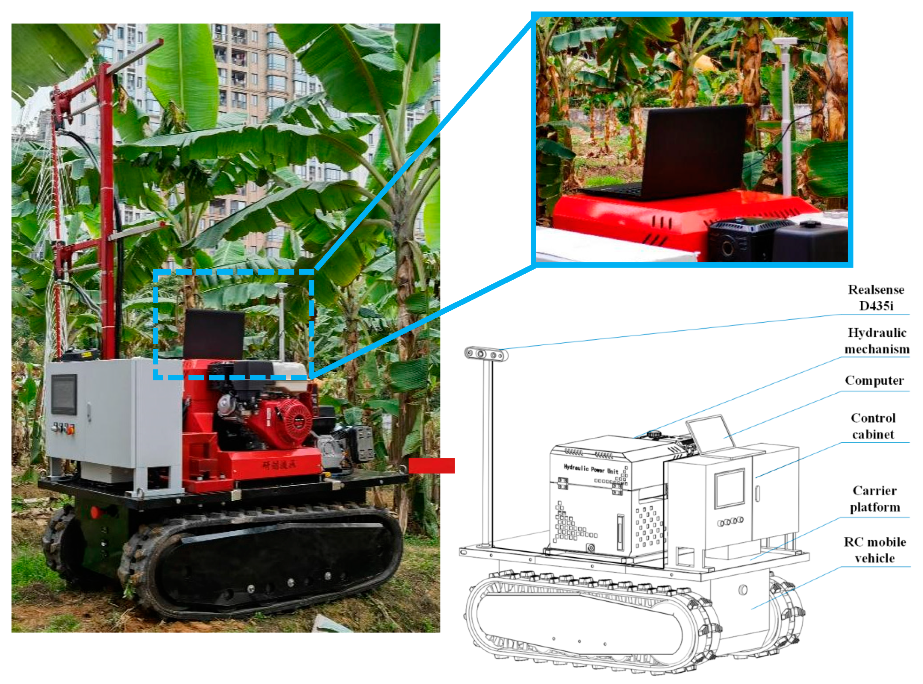 Agronomy 15 01119 g001