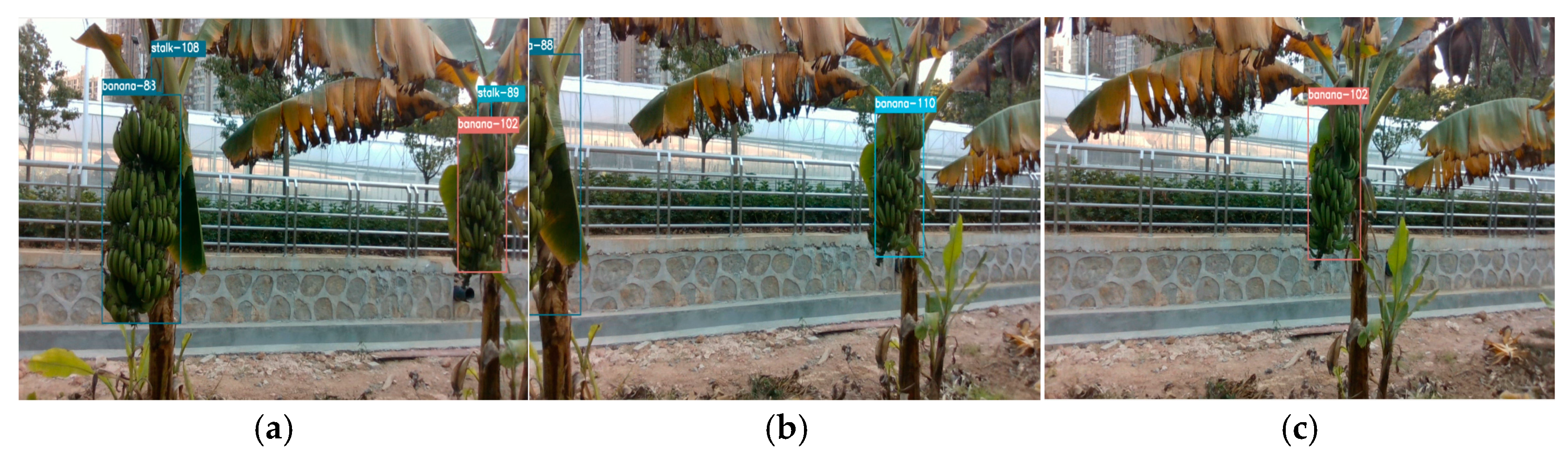 Agronomy 15 01119 g005