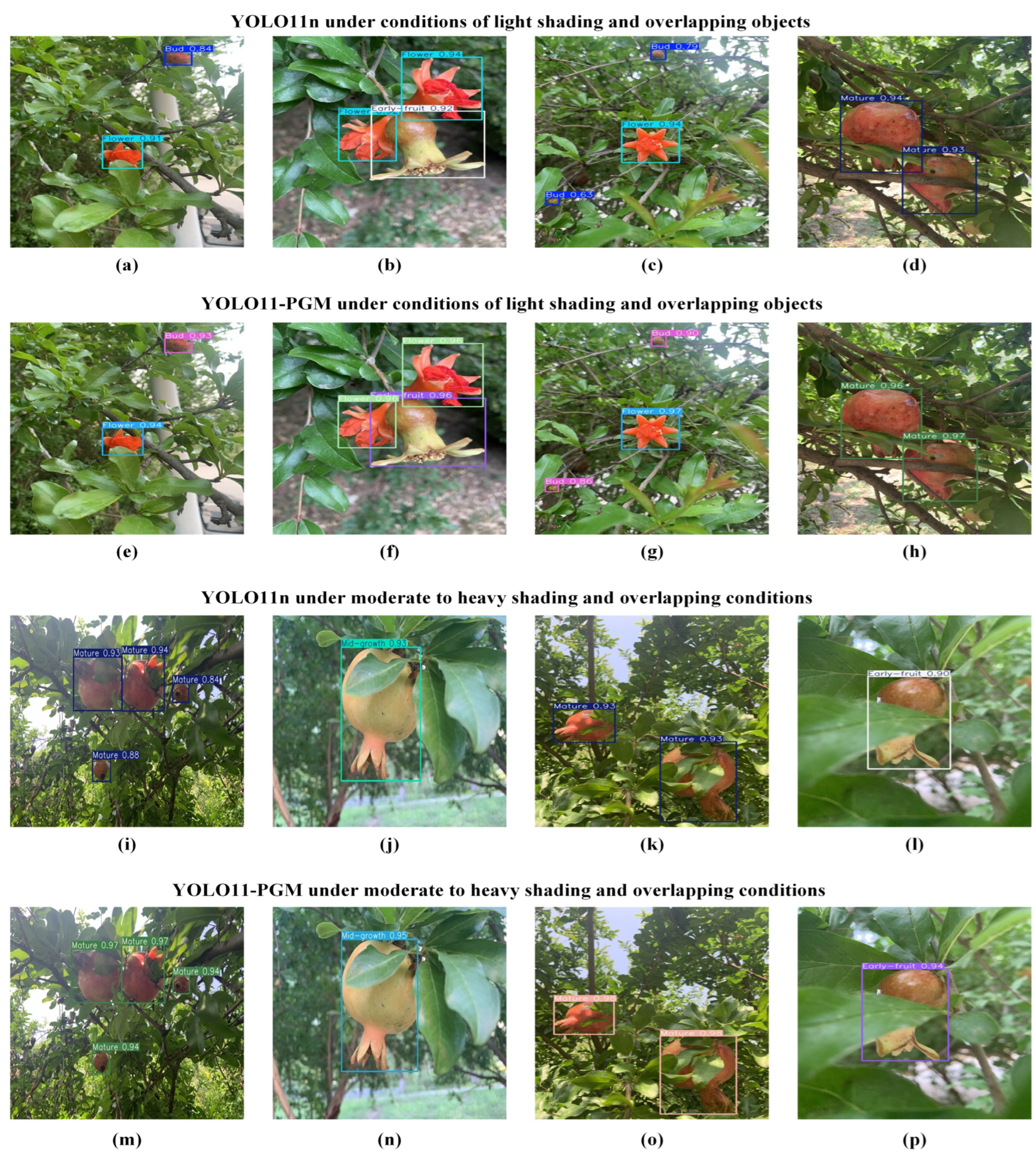 Agronomy 15 01123 g009