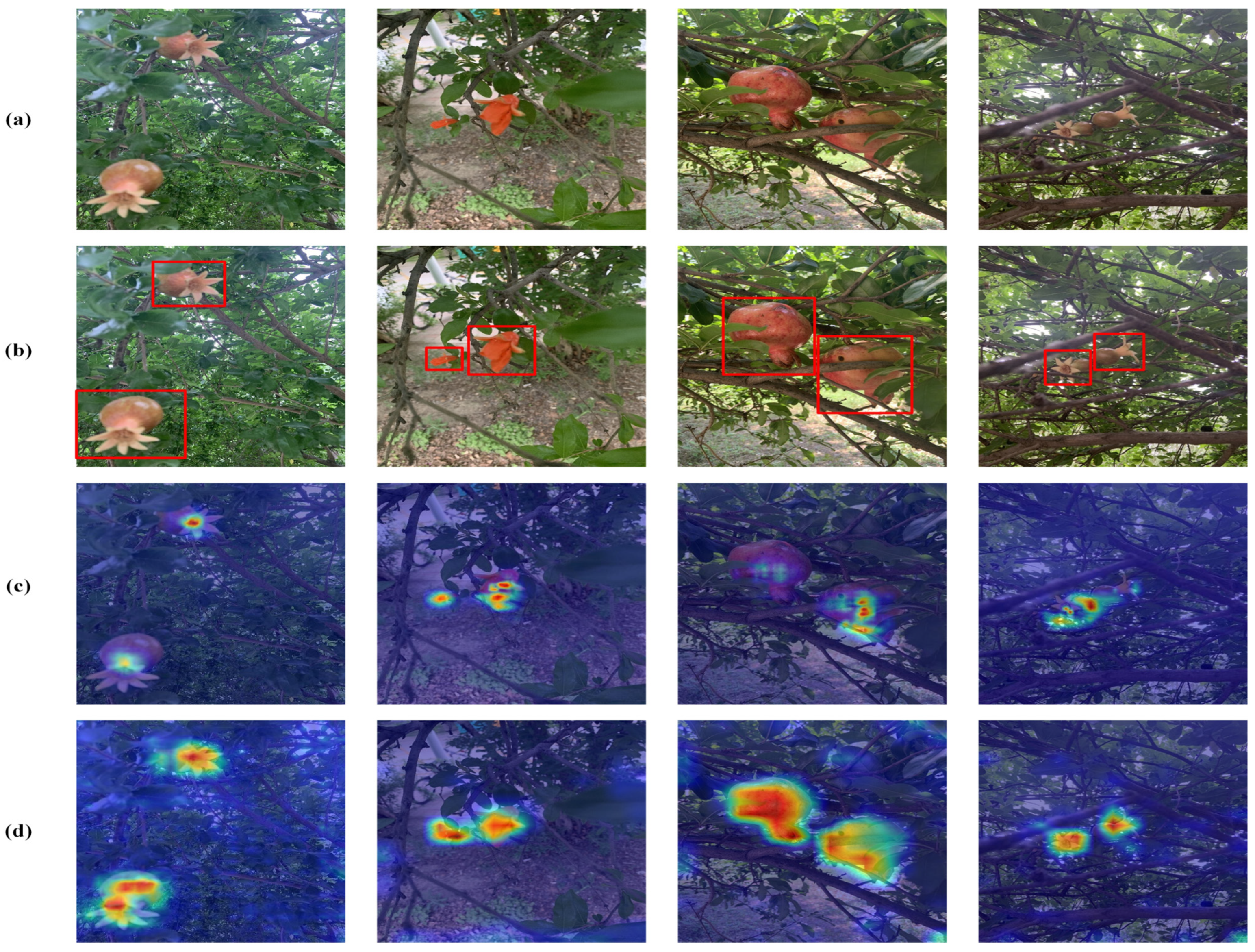 Agronomy 15 01123 g011