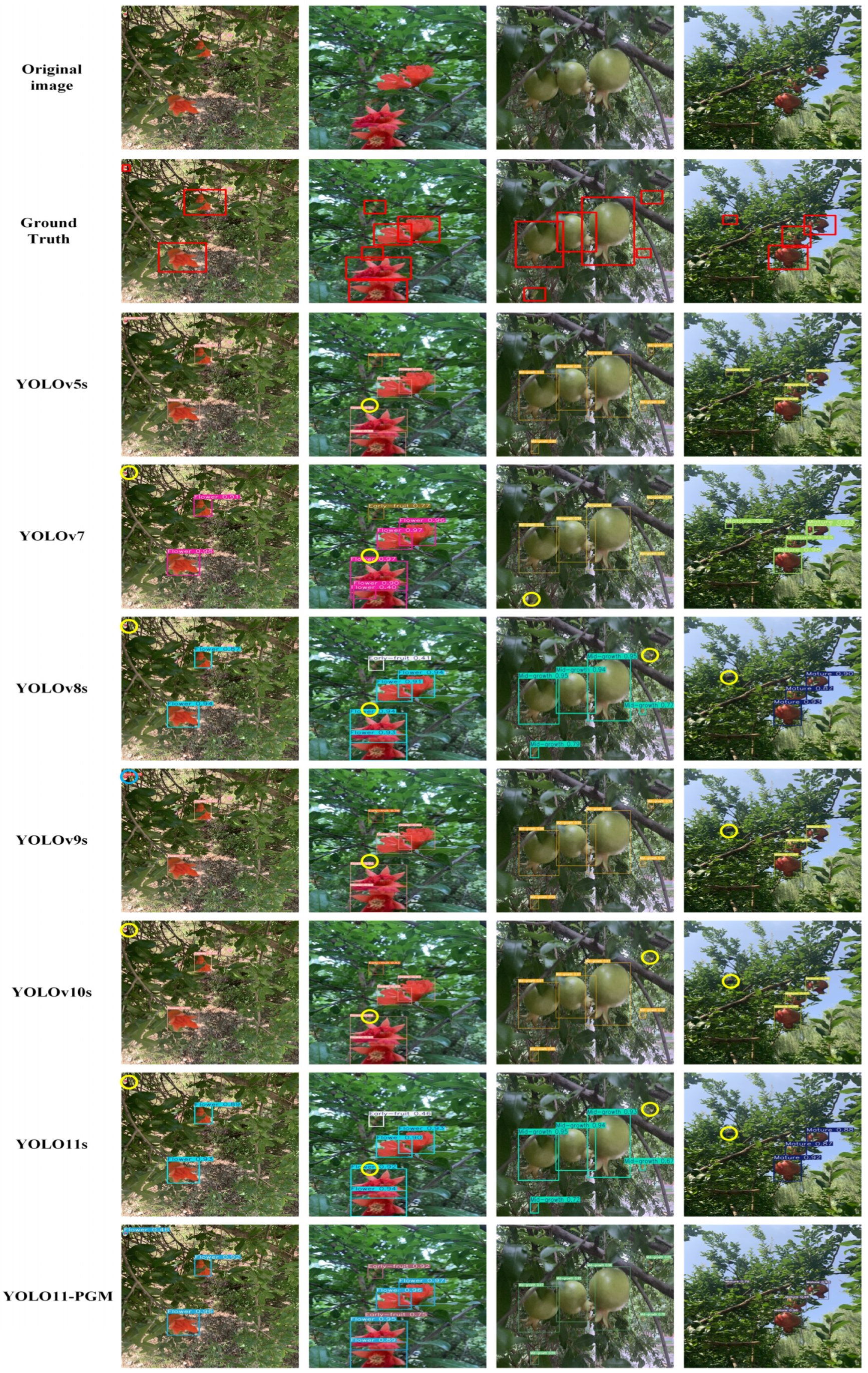 Agronomy 15 01123 g012