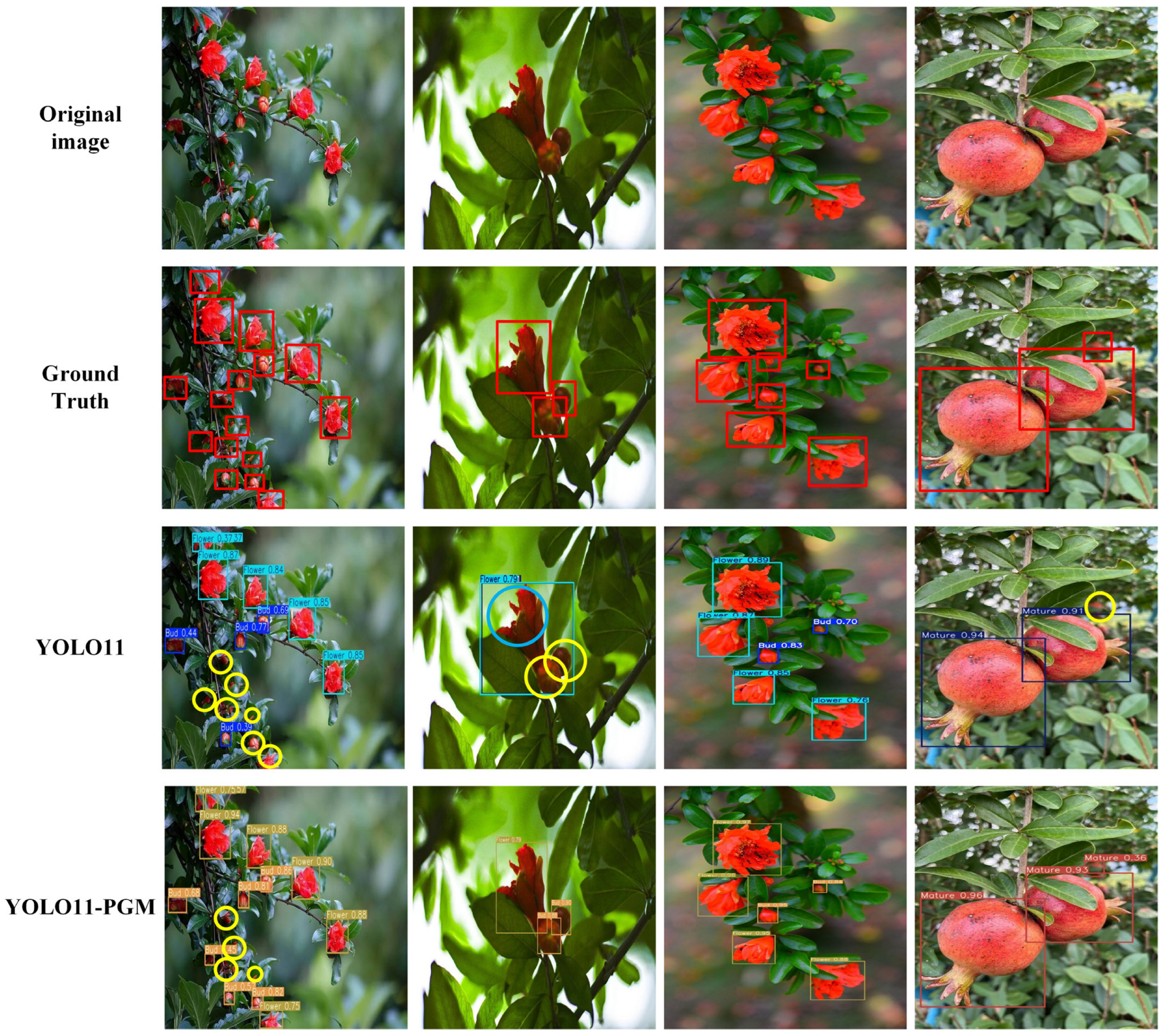 Agronomy 15 01123 g016