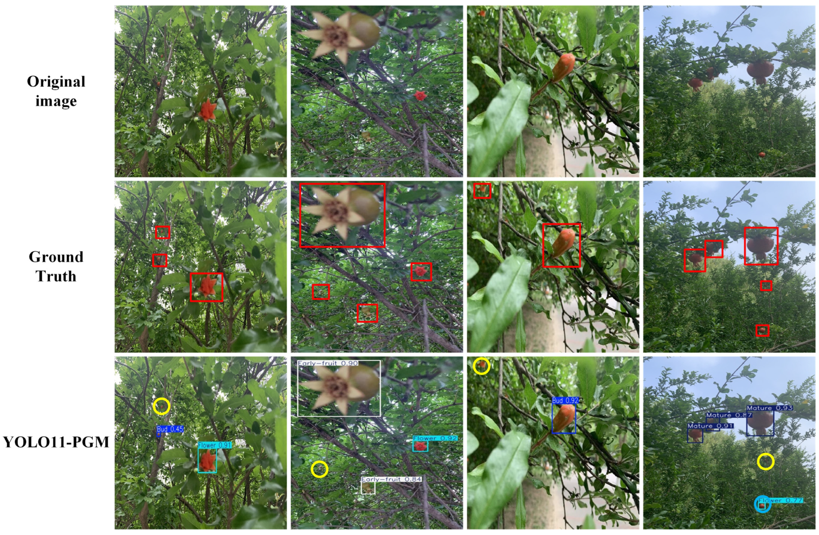 Agronomy 15 01123 g017