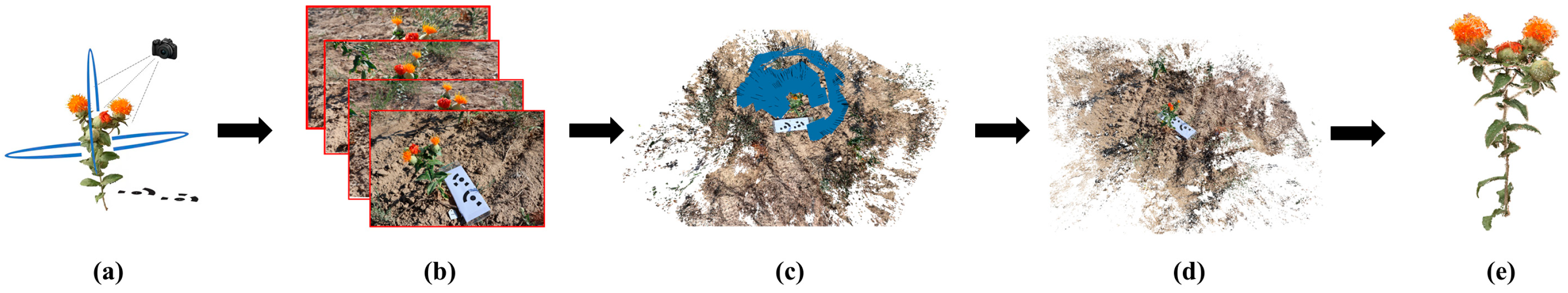 Agronomy 15 01125 g002