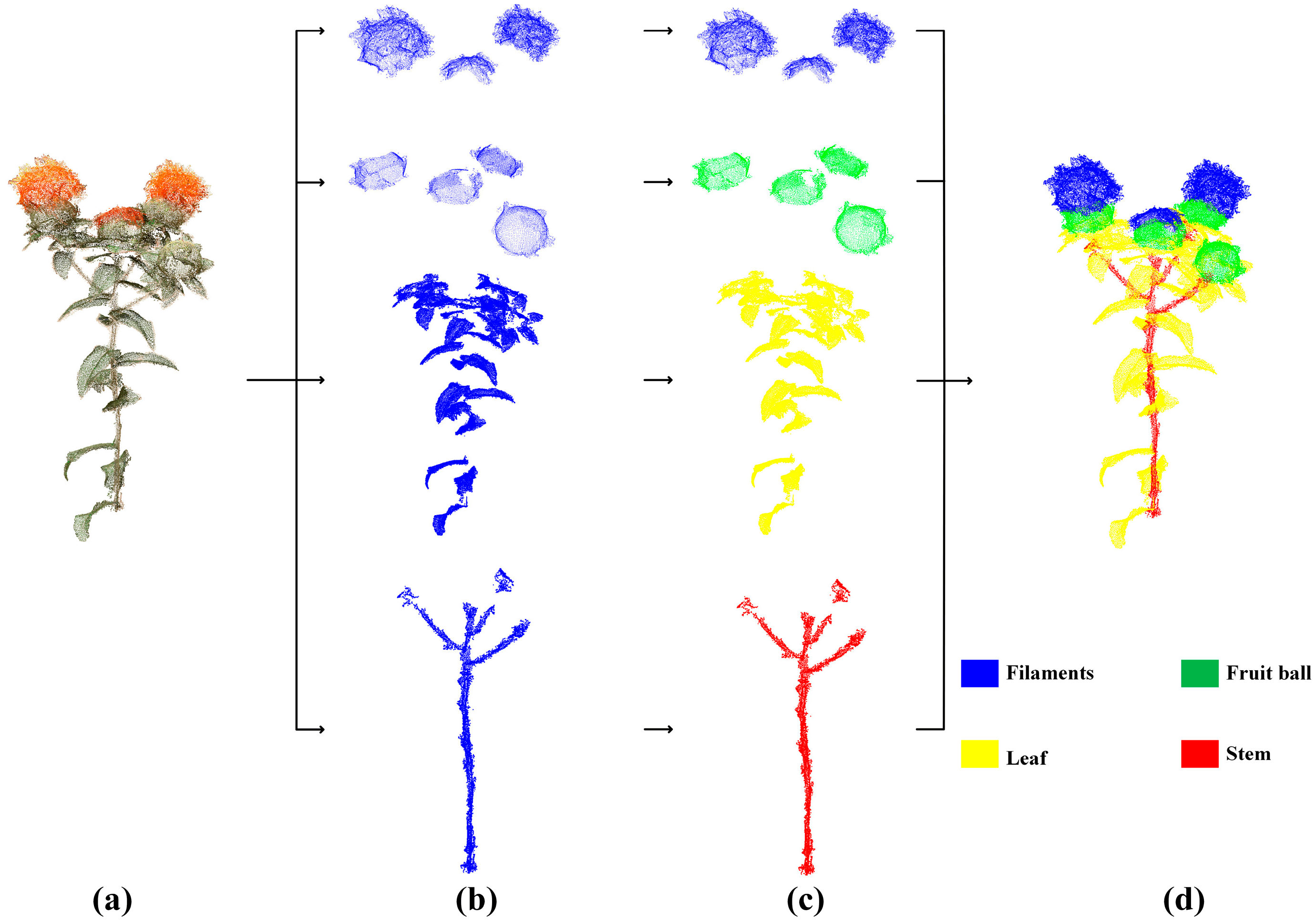 Agronomy 15 01125 g003