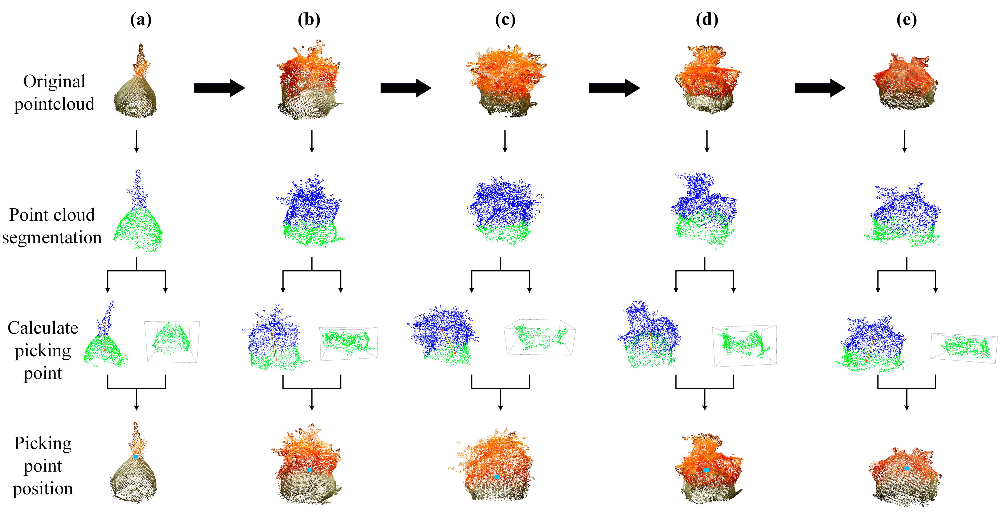 Agronomy 15 01125 g012