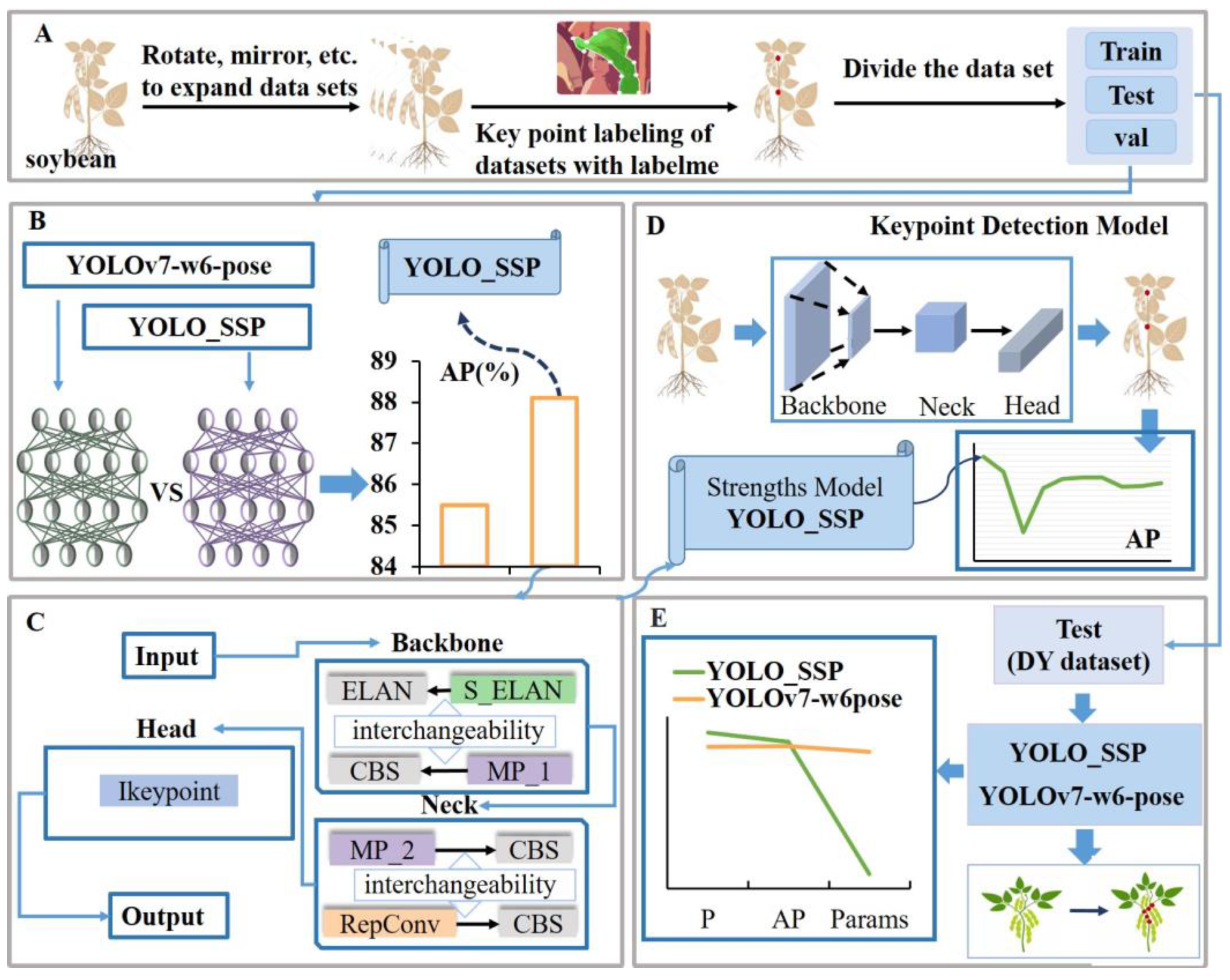 Agronomy 15 01128 g001