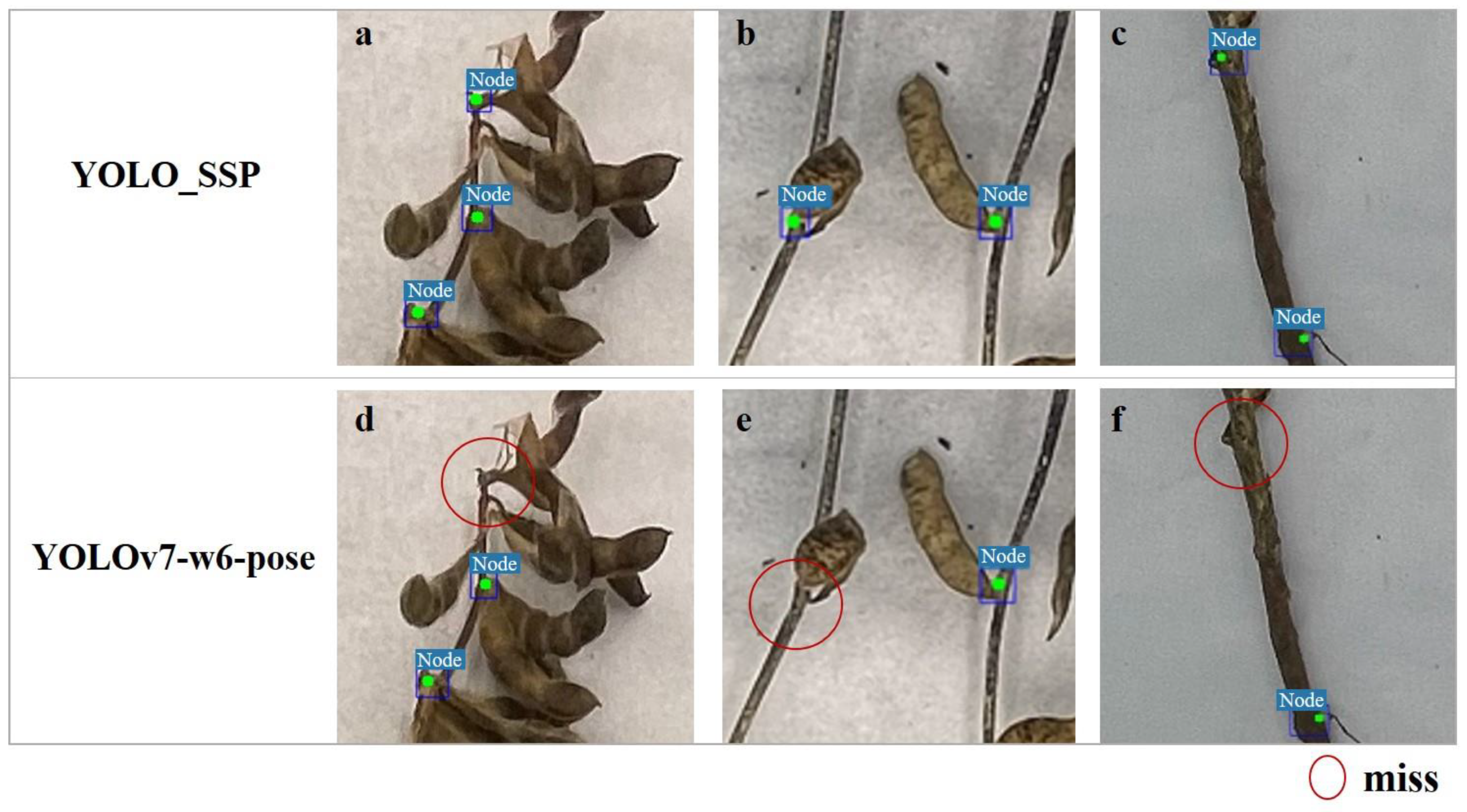 Agronomy 15 01128 g006