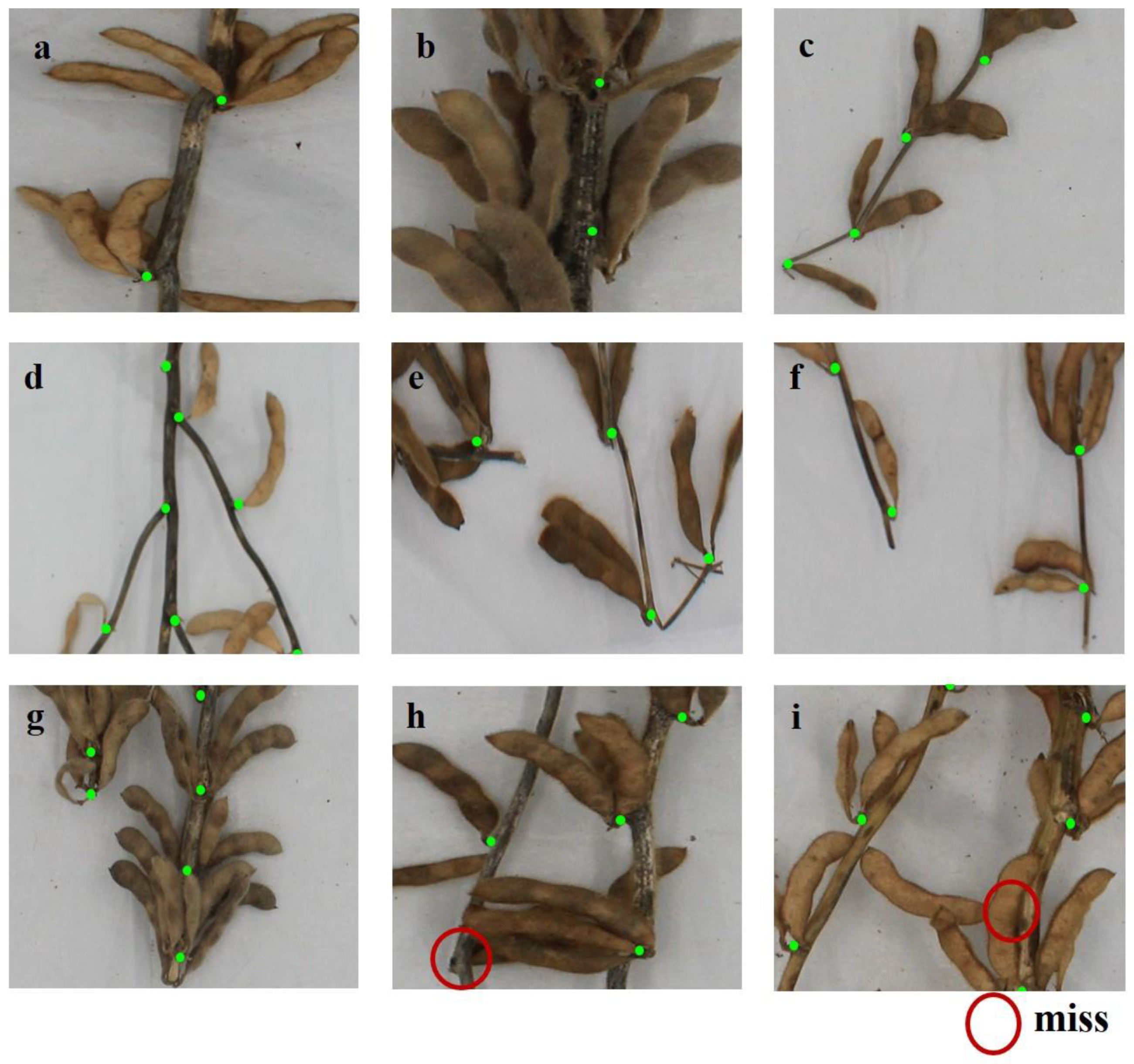 Agronomy 15 01128 g010