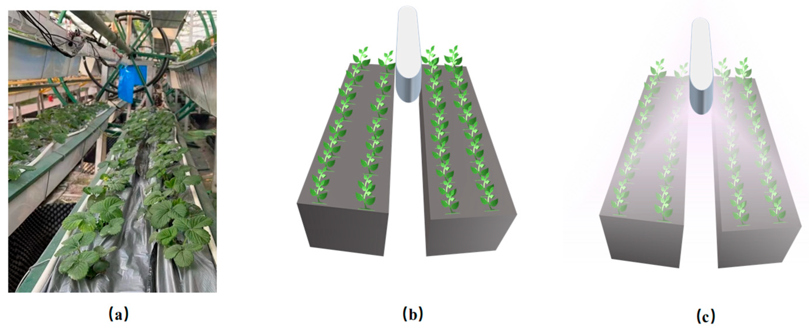 Agronomy 15 01130 g003