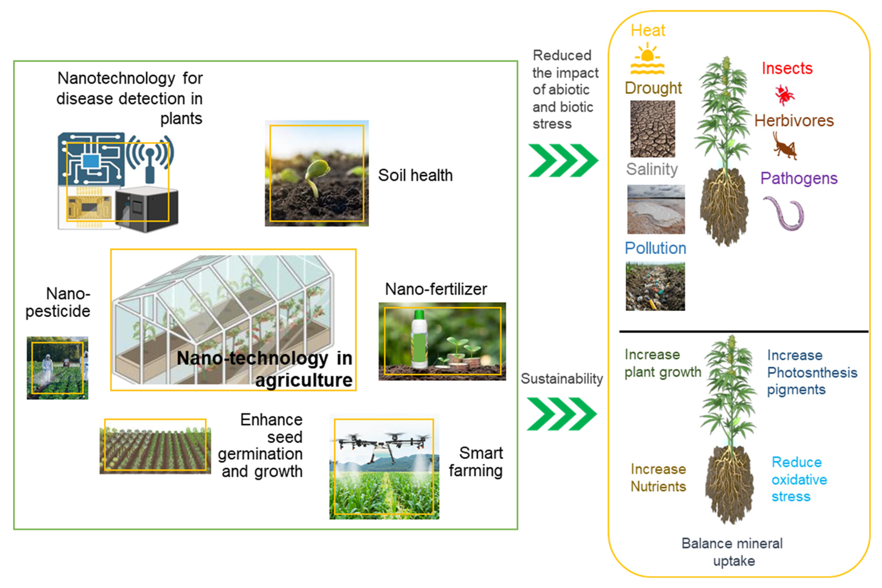 Agronomy 15 01131 g002