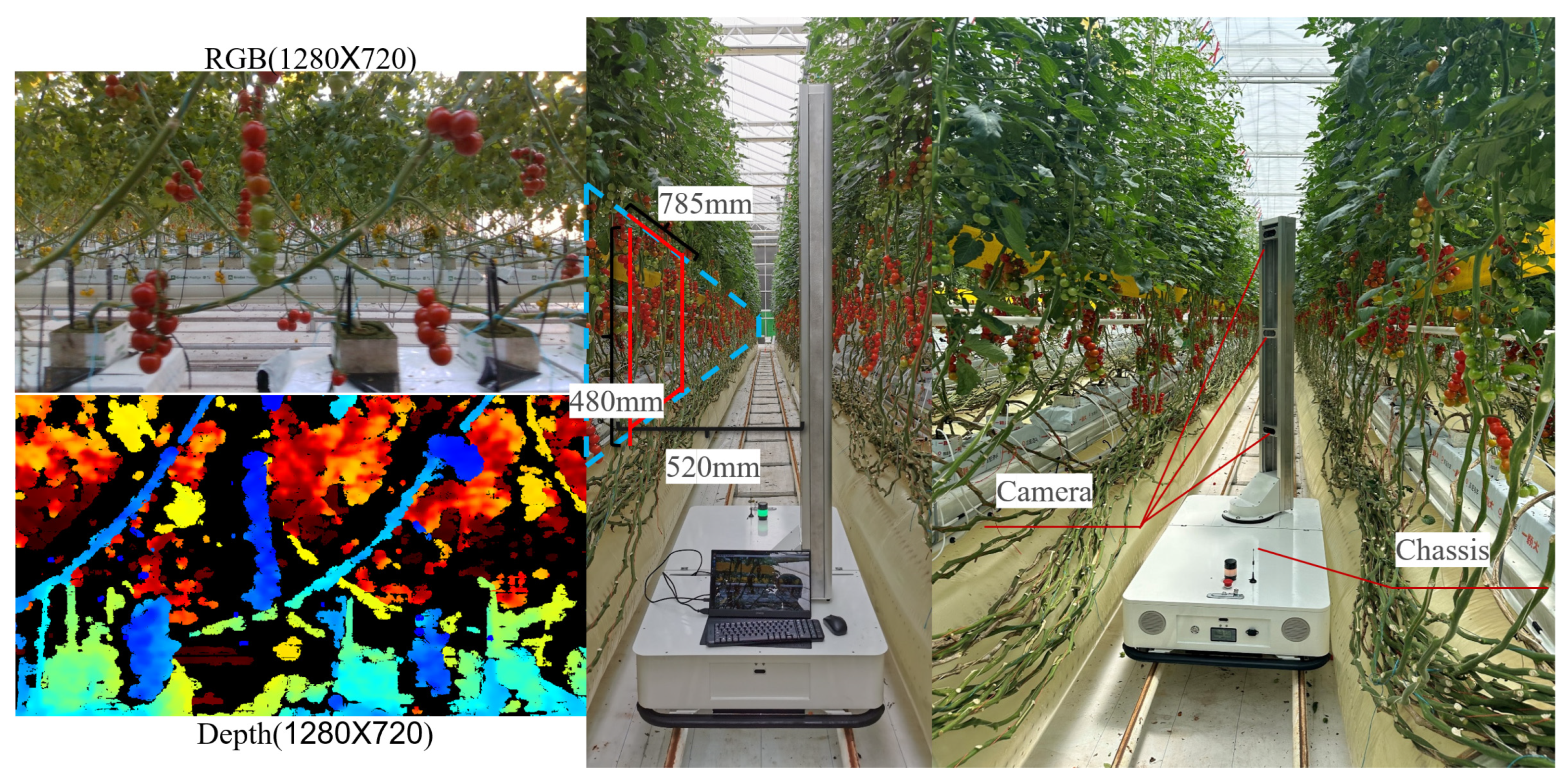 Agronomy 15 01135 g003