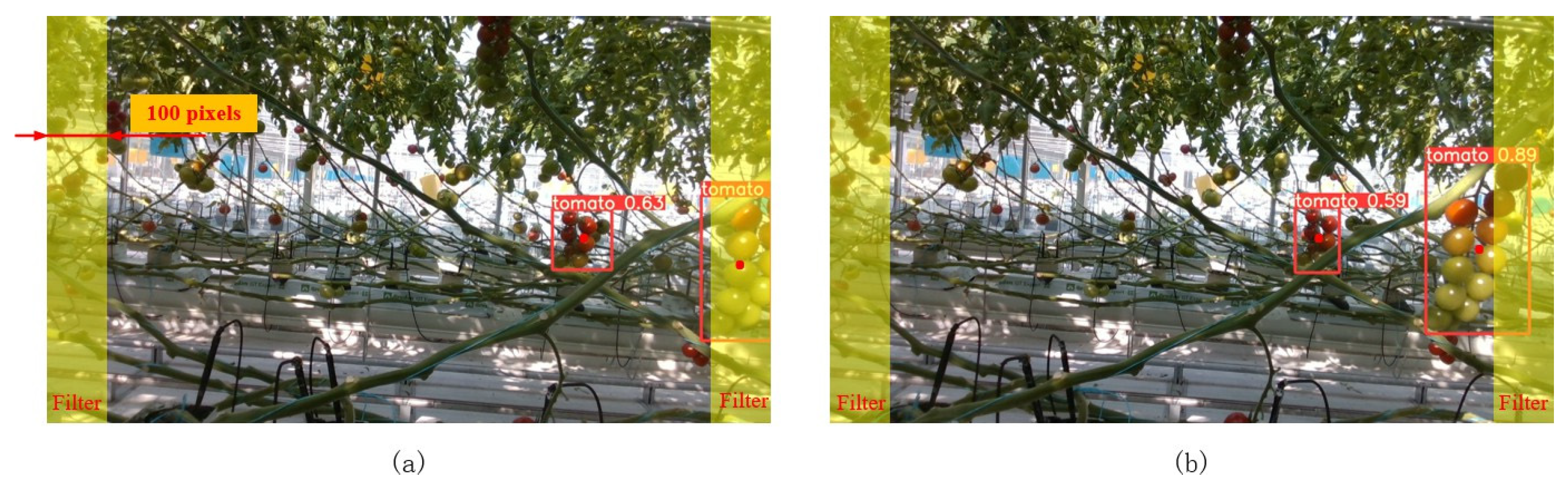 Agronomy 15 01135 g005