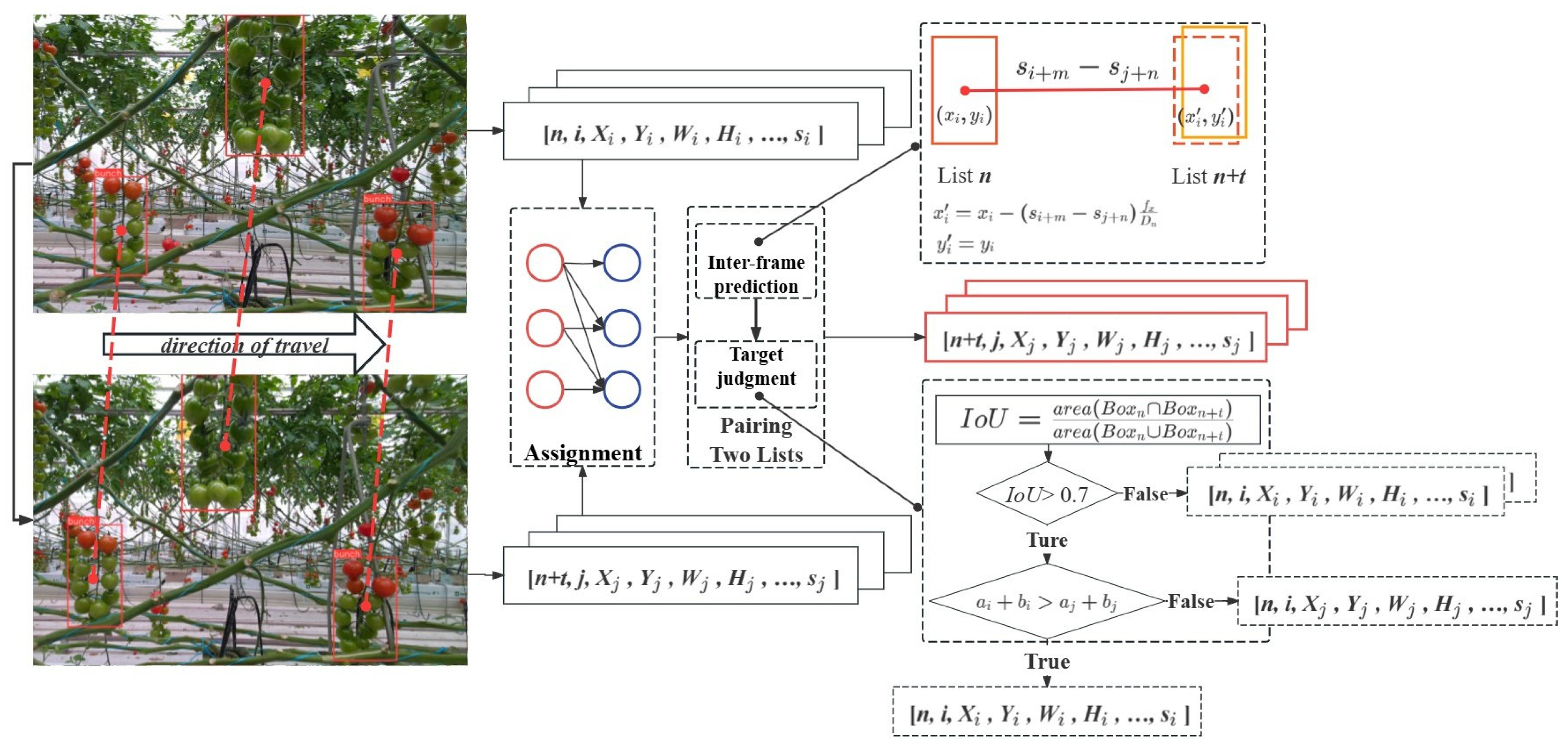 Agronomy 15 01135 g006