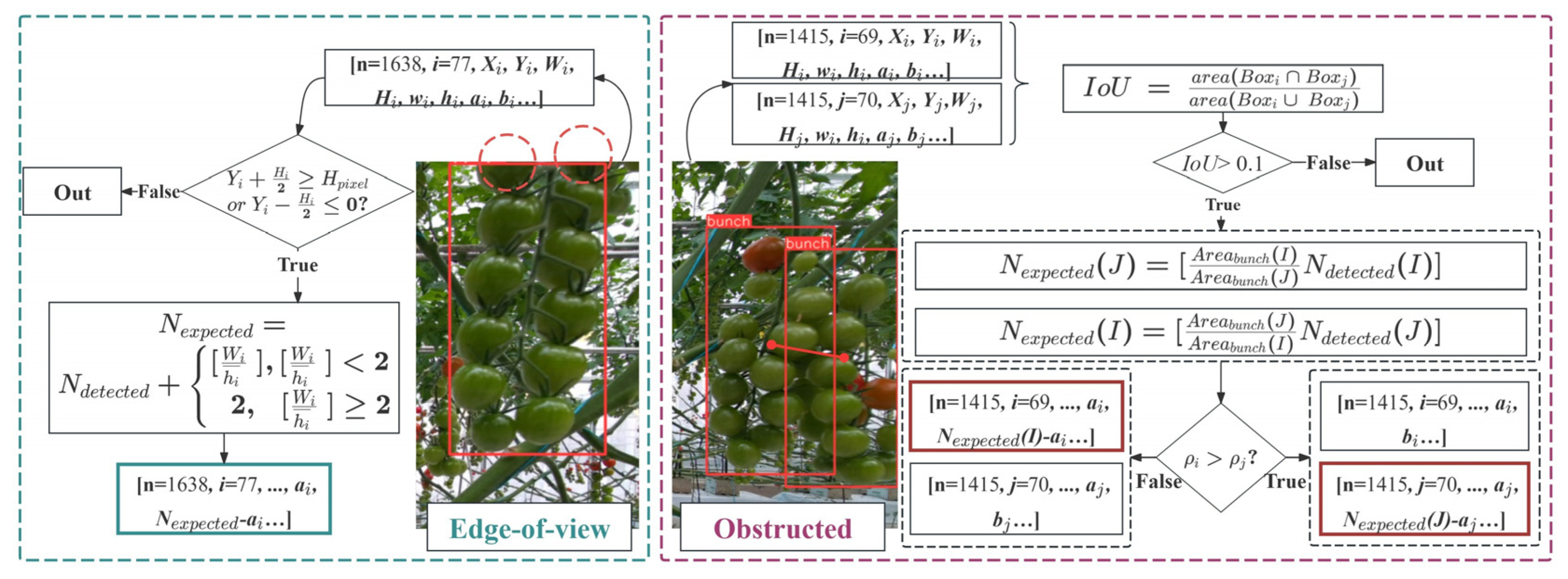 Agronomy 15 01135 g008