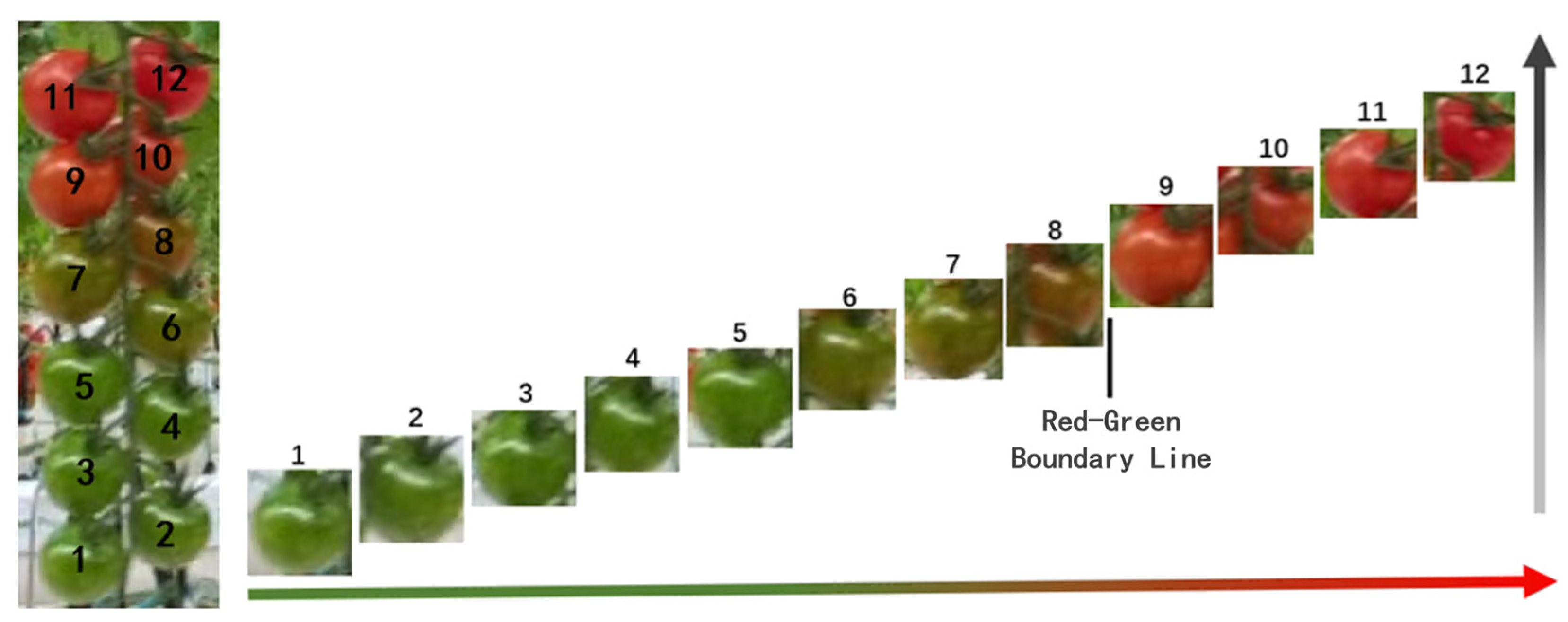 Agronomy 15 01135 g009