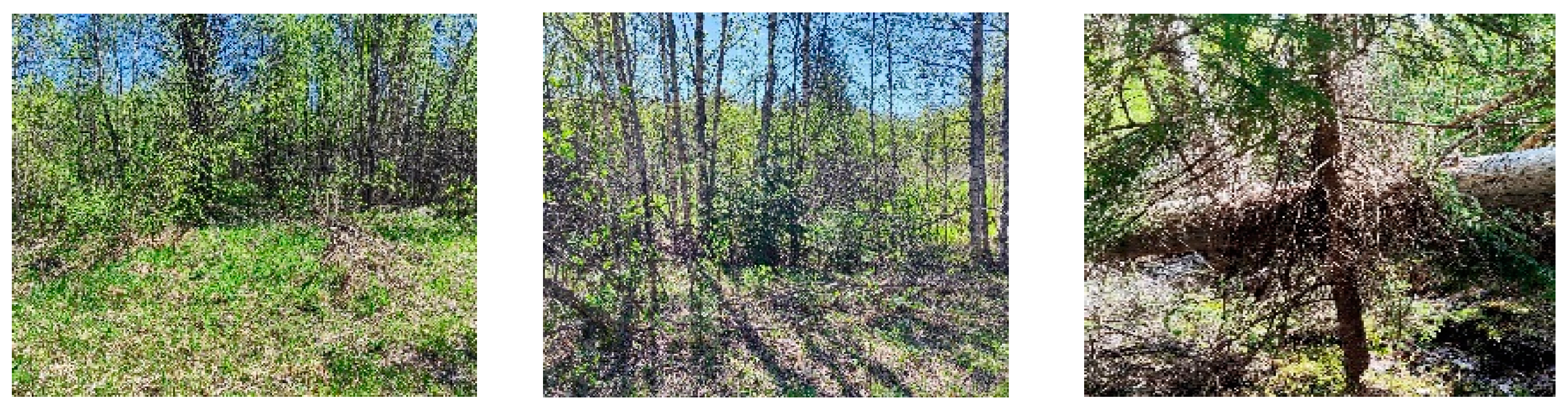 Agronomy 15 01141 g002a