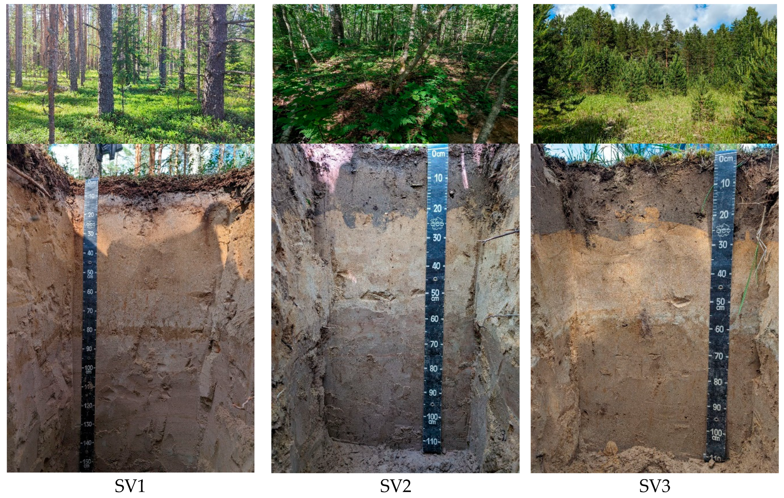 Agronomy 15 01141 g004