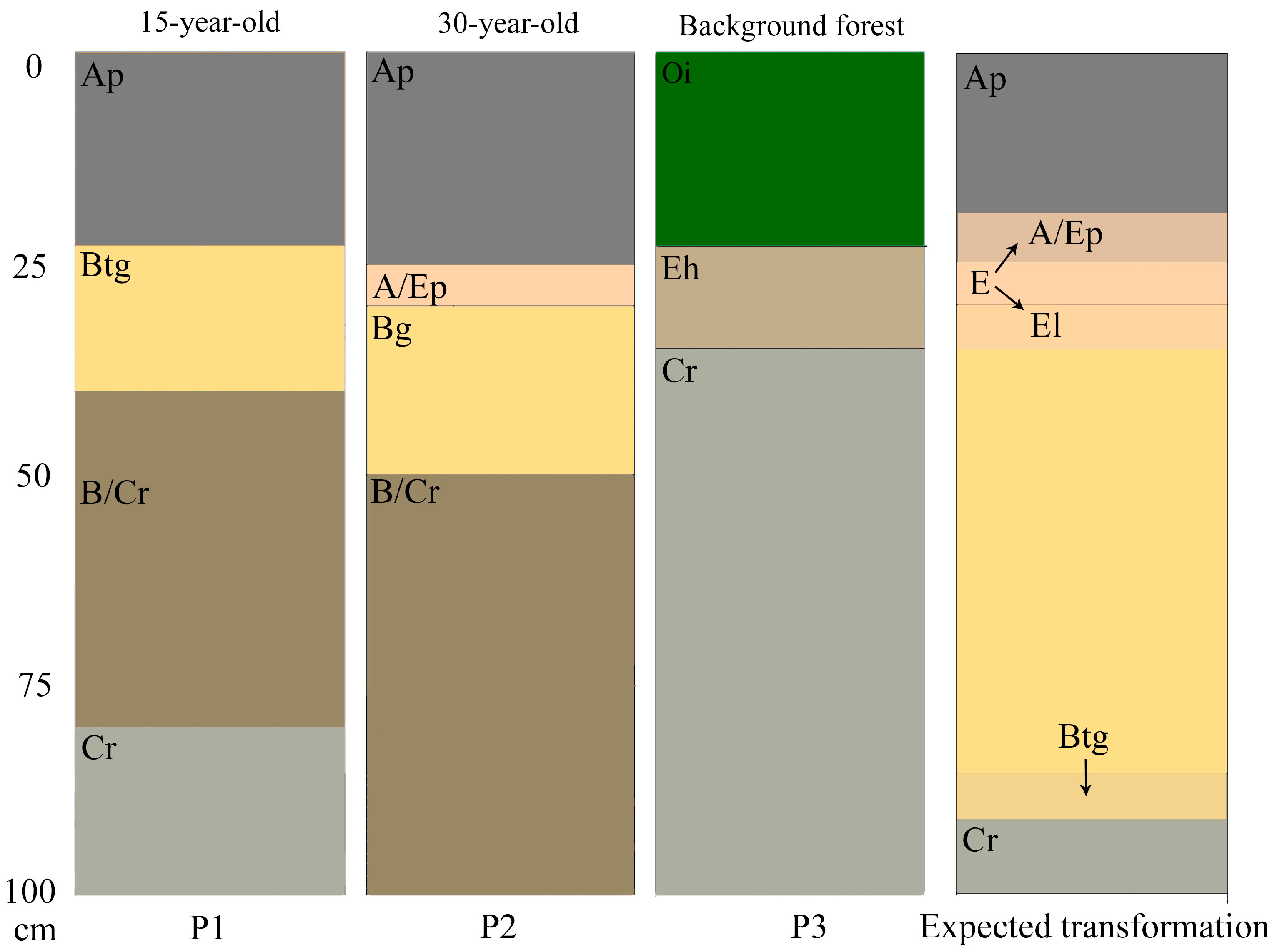Agronomy 15 01141 g005