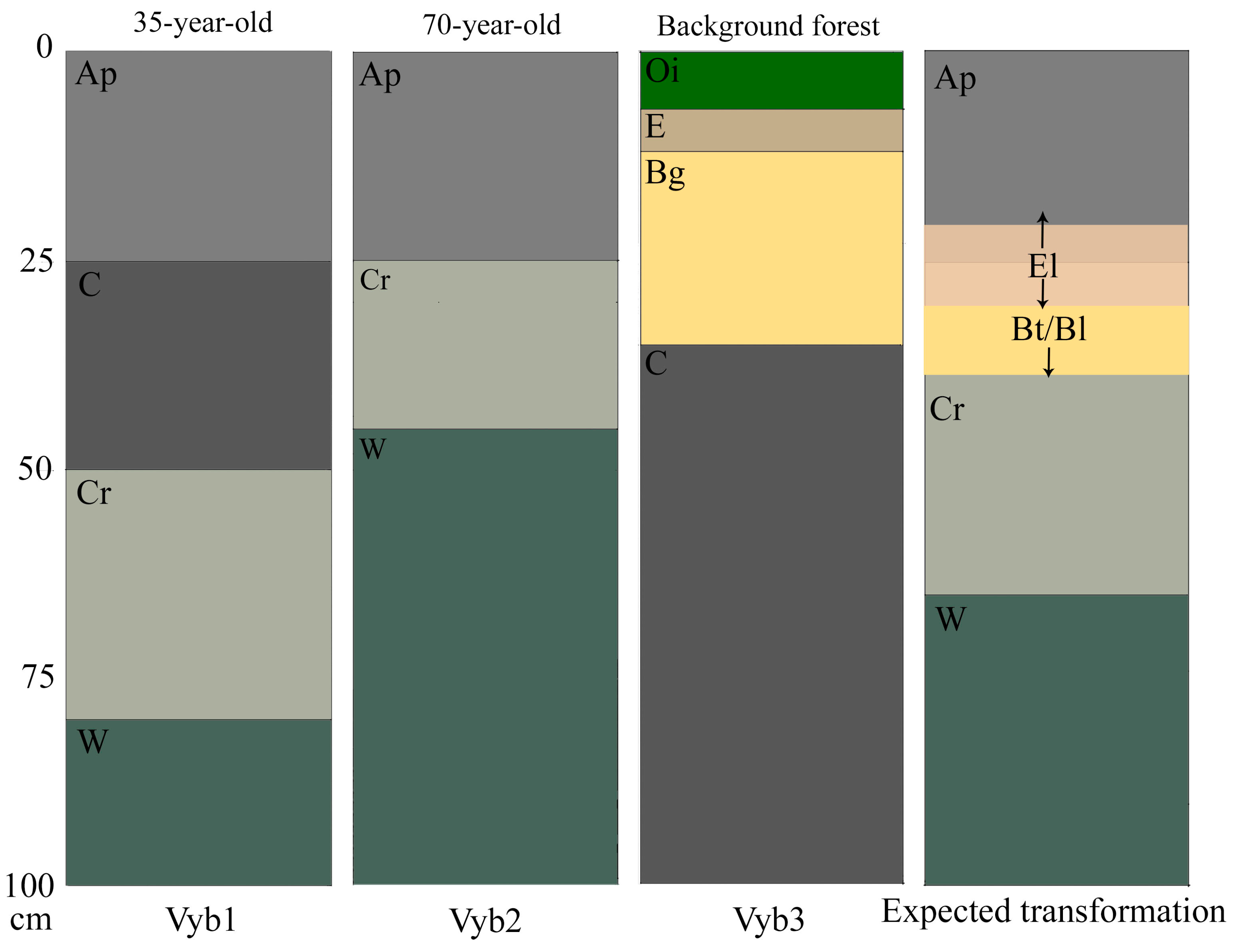 Agronomy 15 01141 g007