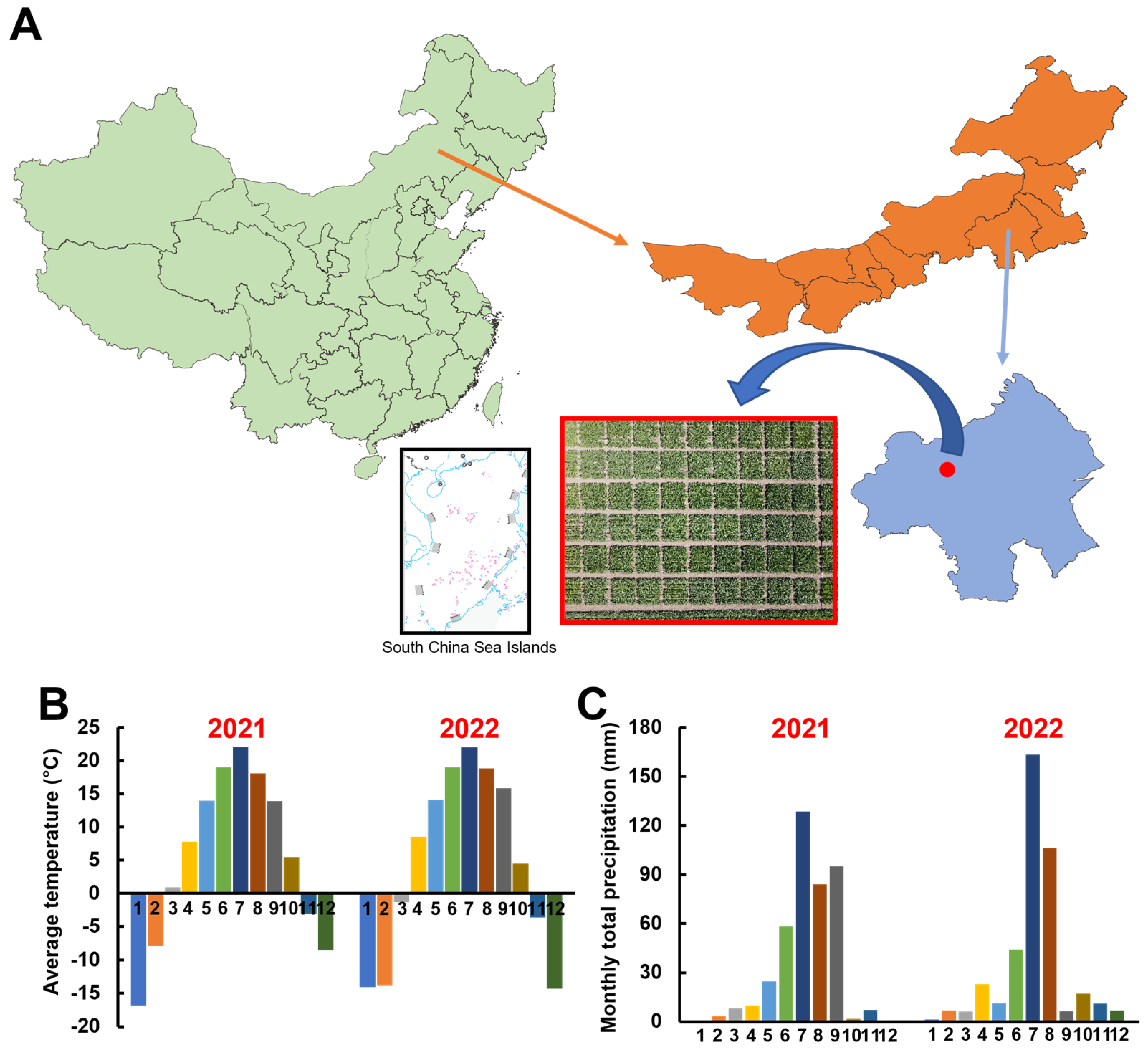 Agronomy 15 01142 g001