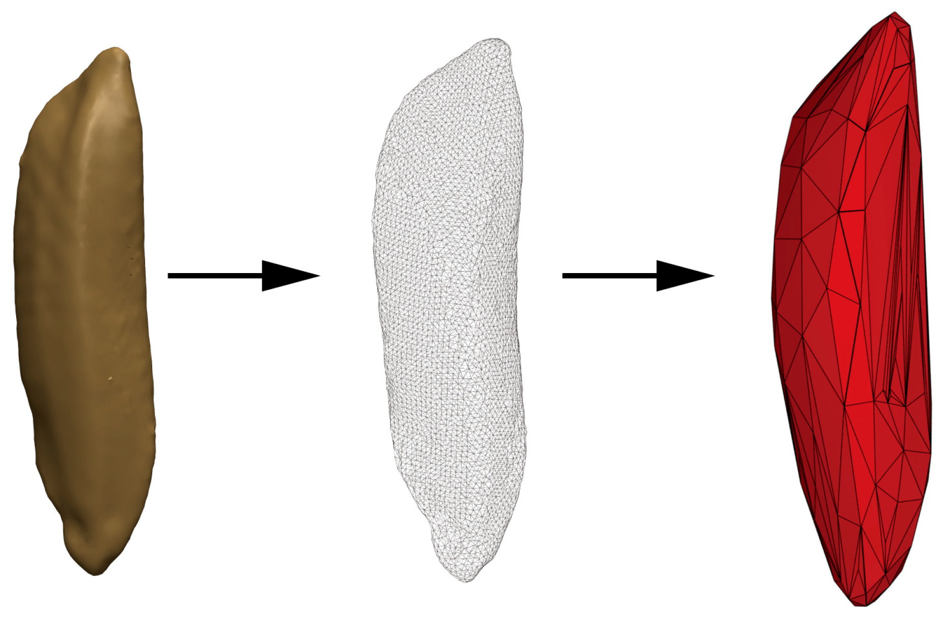 Agronomy 15 01145 g004